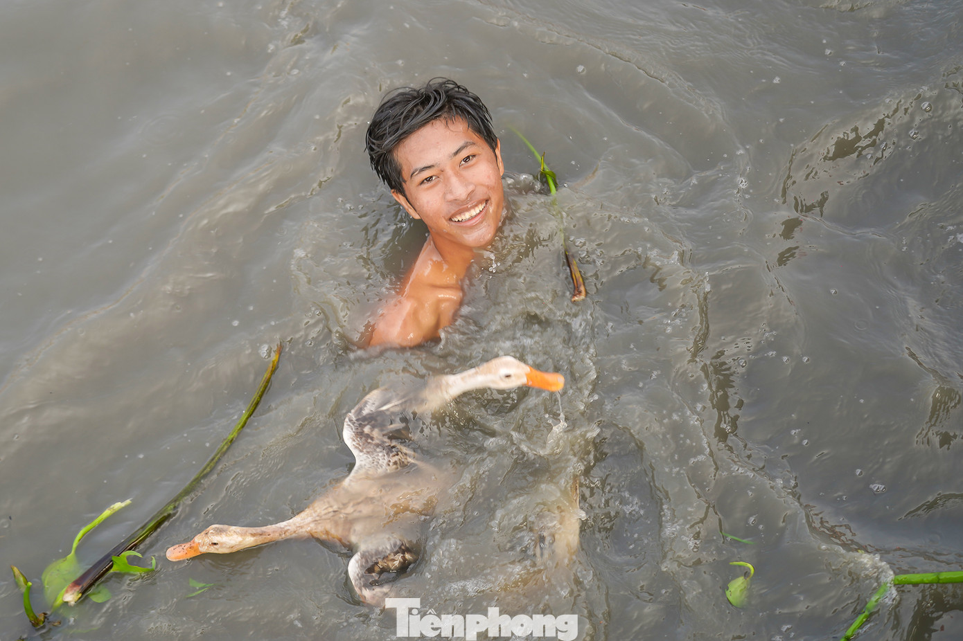 Người dự thi bắt vịt phải có sức bền, bơi liên tục để tranh bắt vịt trong khoảng hơn 30 phút. Sau khi cuộc thi kết thúc, nhiều &quot;vịt thủ&quot; kiệt sức bơi chầm chậm vào bờ.