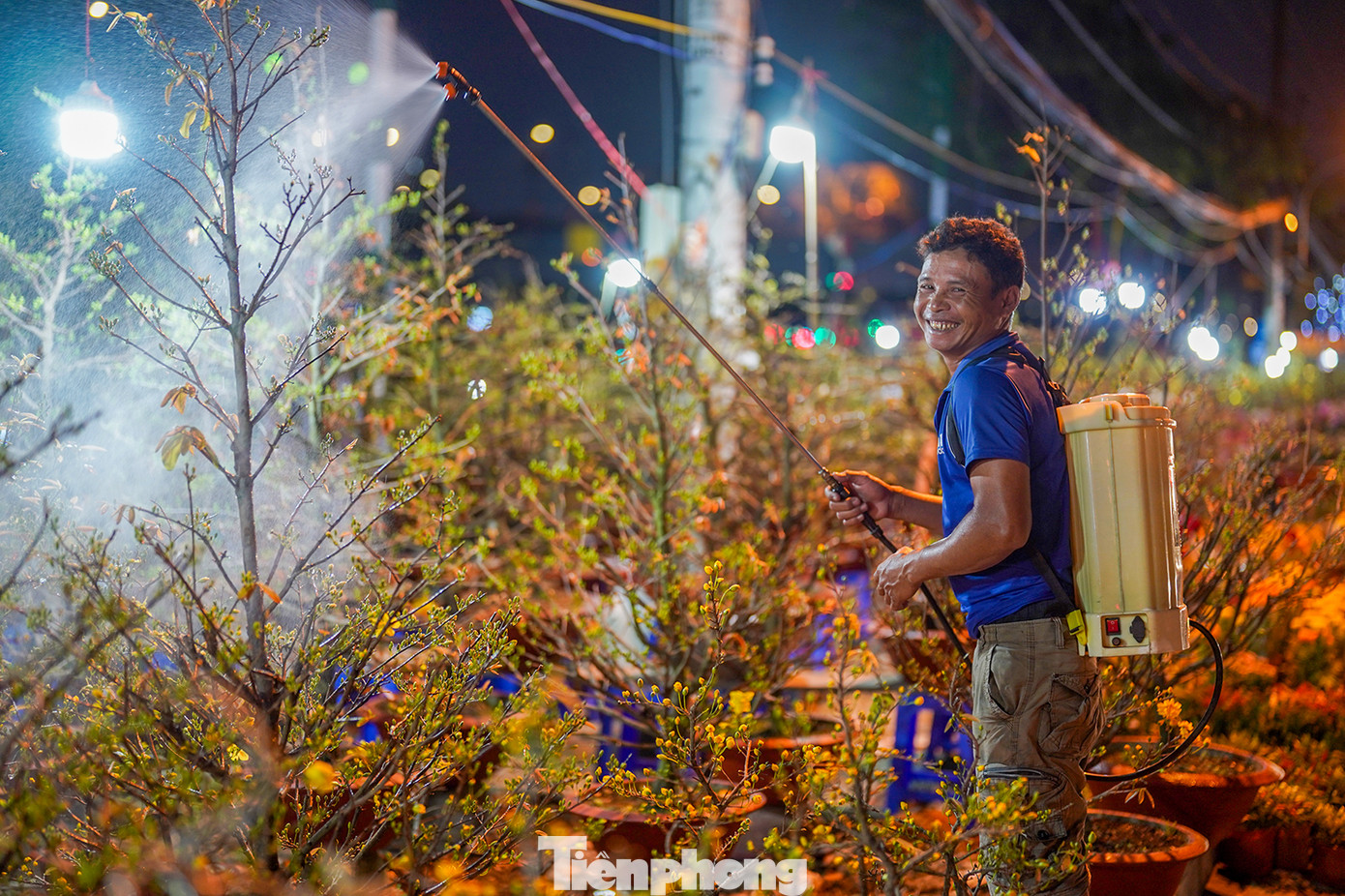 Anh Lê Văn Lạc - nhà vườn đến từ tỉnh Vĩnh Long - tưới nước cho những gốc mai vàng của mình. "Mai vàng của mình cây nào 5 năm tuổi mình kêu giá 5 triệu, cây nào 2-3 năm tuổi thì mình kêu giá dao động trên dưới 2 triệu", anh Lạc nói.