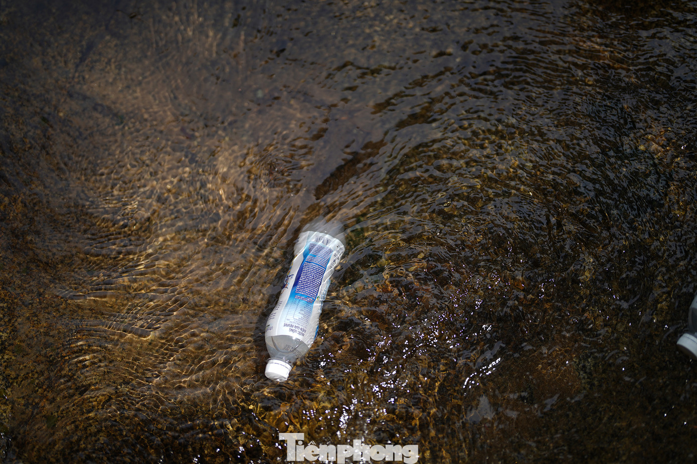 Trong khi du khách đi bộ thì đội hỗ trợ đã chuẩn bị cơm trưa. Nhóm khách trong ảnh được phục vụ món thịt lợn xông khói nướng hạt dỗi khá độc đáo của địa phương. Dòng nước suối nơi cấm trại mát lạnh đến nỗi có thể ngâm cả chai nước ngọt, đợi tầm 15 phút là có thể thưởng thức. Trong khi du khách đi bộ thì đội hỗ trợ đã chuẩn bị cơm trưa. Nhóm khách trong ảnh được phục vụ món thịt lợn xông khói nướng hạt dỗi khá độc đáo của địa phương. Dòng nước suối nơi cấm trại mát lạnh đến nỗi có thể ngâm cả chai nước ngọt, đợi tầm 15 phút là có thể thưởng thức.