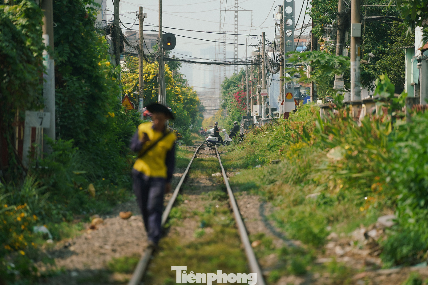 Có thêm thời gian, du khách có thể dừng lại một chút để ngắm nhìn đường ray xe lửa đi xuyên thành phố đang tiết xuân với sắc màu của hoa chuông vàng bung nở.