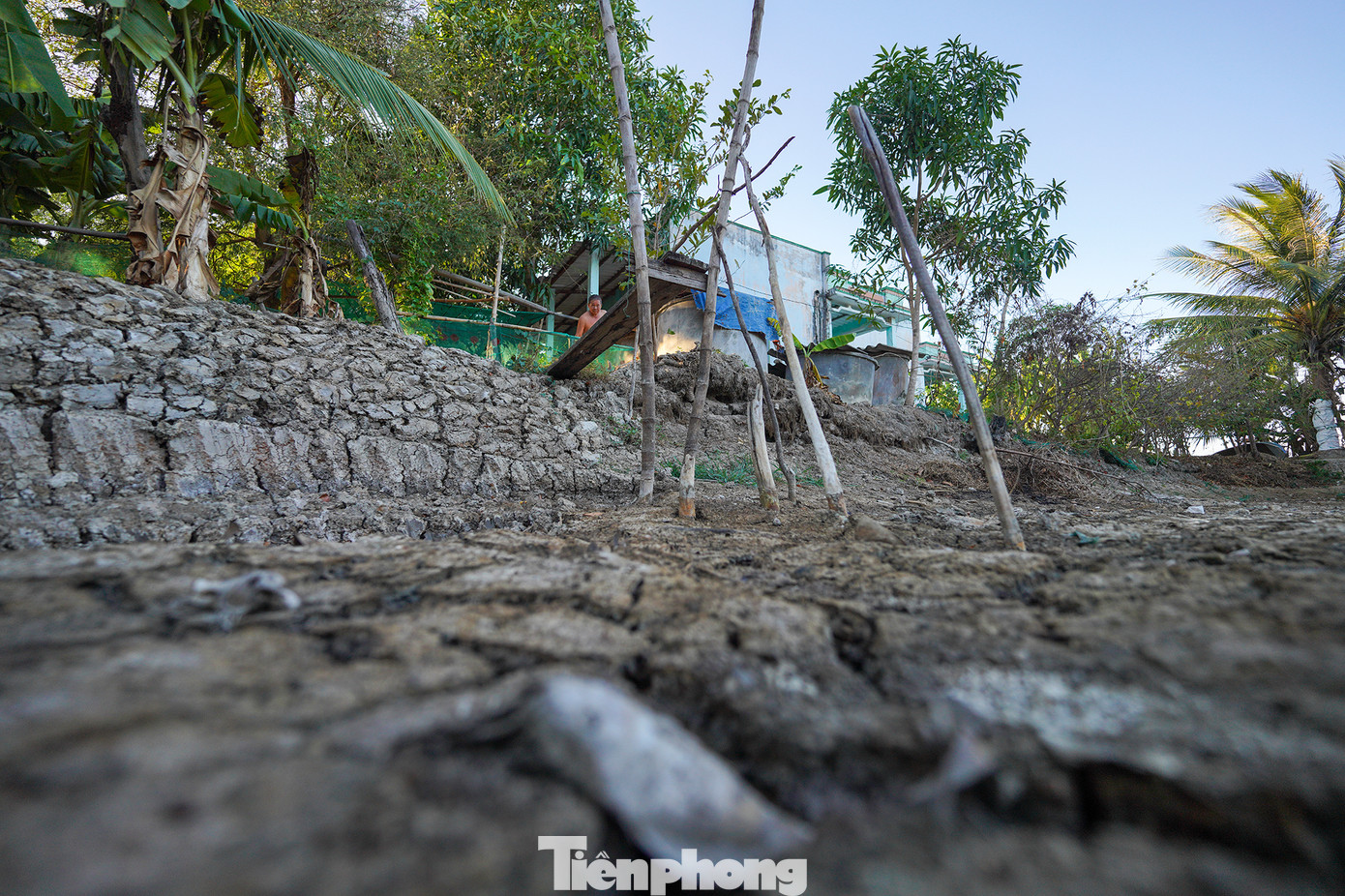 Hạn mặn đang hoành hành người dân tại huyện Cần Giuộc vô cùng khốc liệt. UBND tỉnh Long An công bố tình huống thiên tai xâm nhập mặn trên địa bàn thuộc rủi ro thiên tai cấp độ 4. Hạn mặn đang hoành hành người dân tại huyện Cần Giuộc vô cùng khốc liệt. UBND tỉnh Long An công bố tình huống thiên tai xâm nhập mặn trên địa bàn thuộc rủi ro thiên tai cấp độ 4.