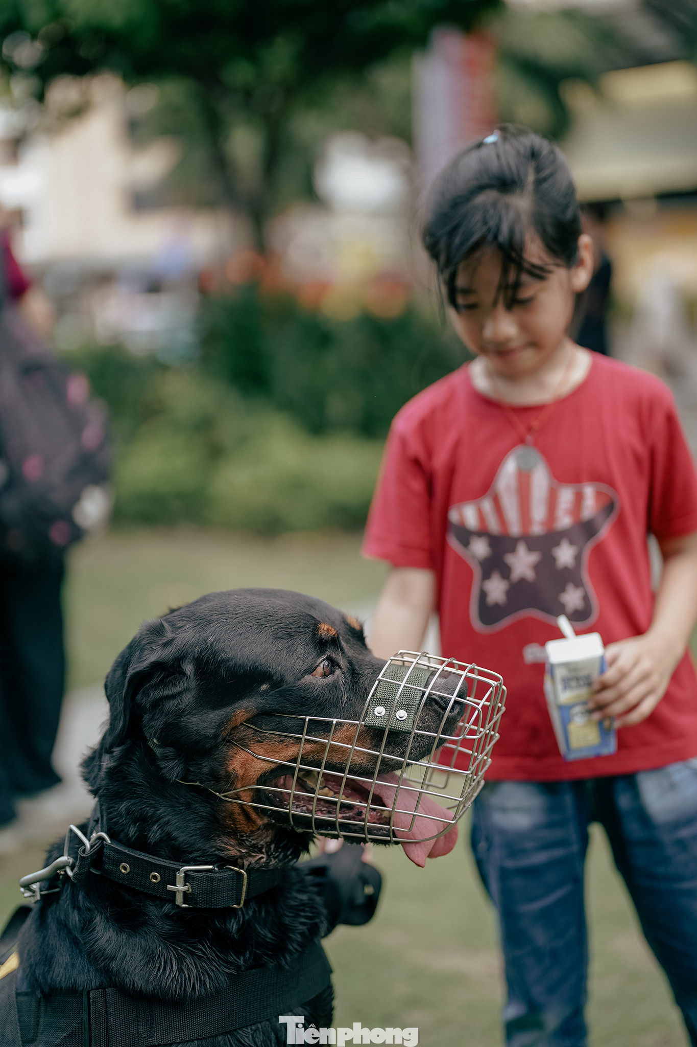 "Hero ơi, Hero, bạn uống sữa không?", du khách nhí hỏi cảnh khuyển. Các chú cảnh khuyển rất thân thiện với người dân. "Nhiều khi còn đi theo người dân luôn, thầy kêu không chịu về", một cán bộ huấn luyện "mách tội".