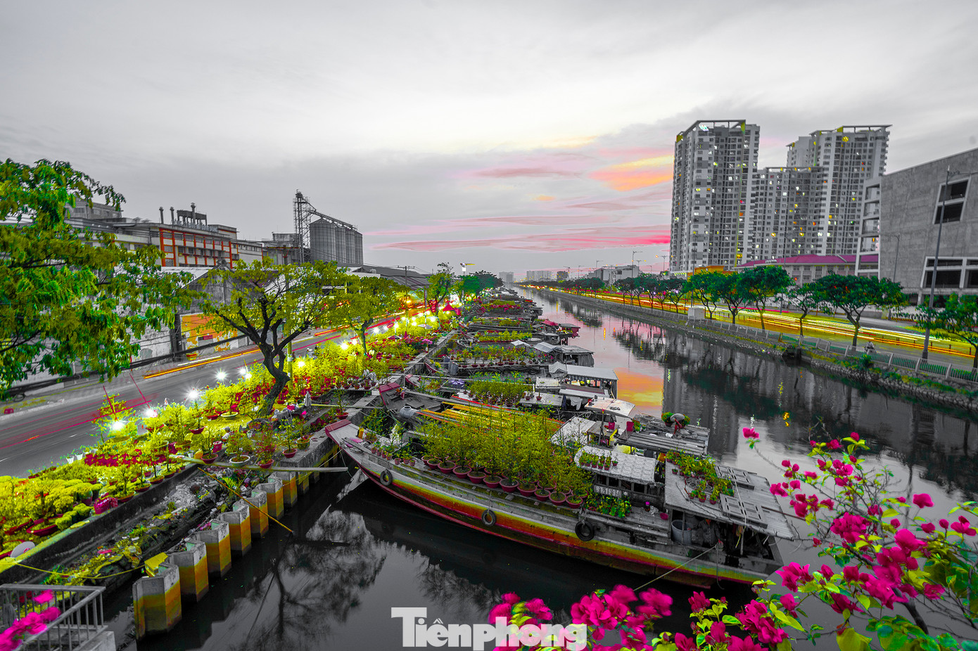 Nổi bật của chợ hoa xuân “Trên bến dưới thuyền” năm 2023 là không gian hoa đặc sắc của thành phố Đà Lạt, nhiều loài hoa khoe sắc của huyện Chợ Lách, tỉnh Bến Tre; thành phố Mỹ Tho, tỉnh Tiền Giang.