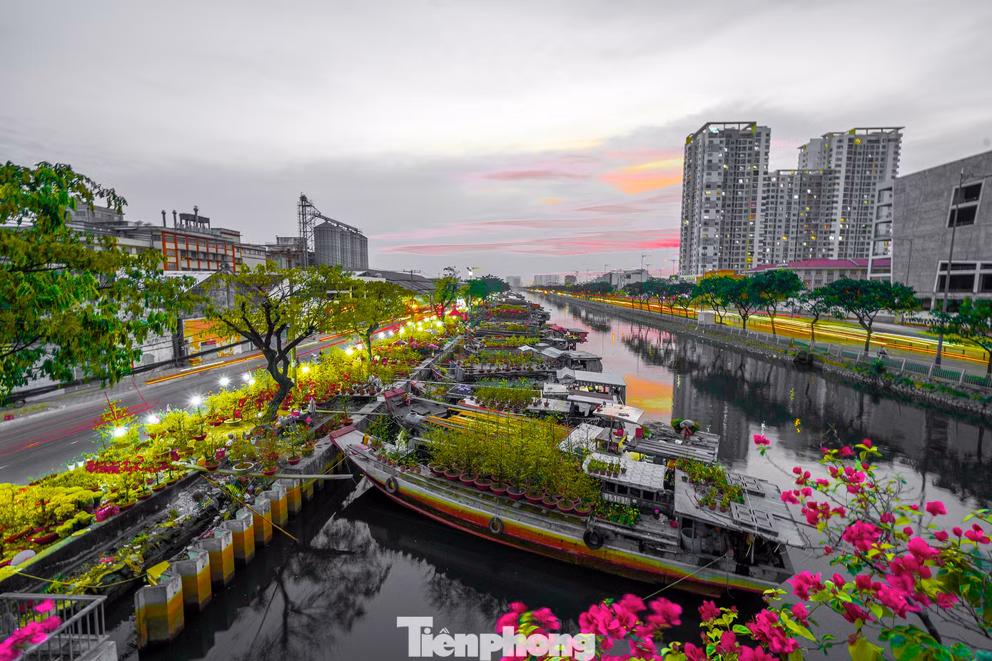 Nổi bật của chợ hoa xuân “Trên bến dưới thuyền” năm 2023 là không gian hoa đặc sắc của thành phố Đà Lạt, nhiều loài hoa khoe sắc của huyện Chợ Lách, tỉnh Bến Tre; thành phố Mỹ Tho, tỉnh Tiền Giang.