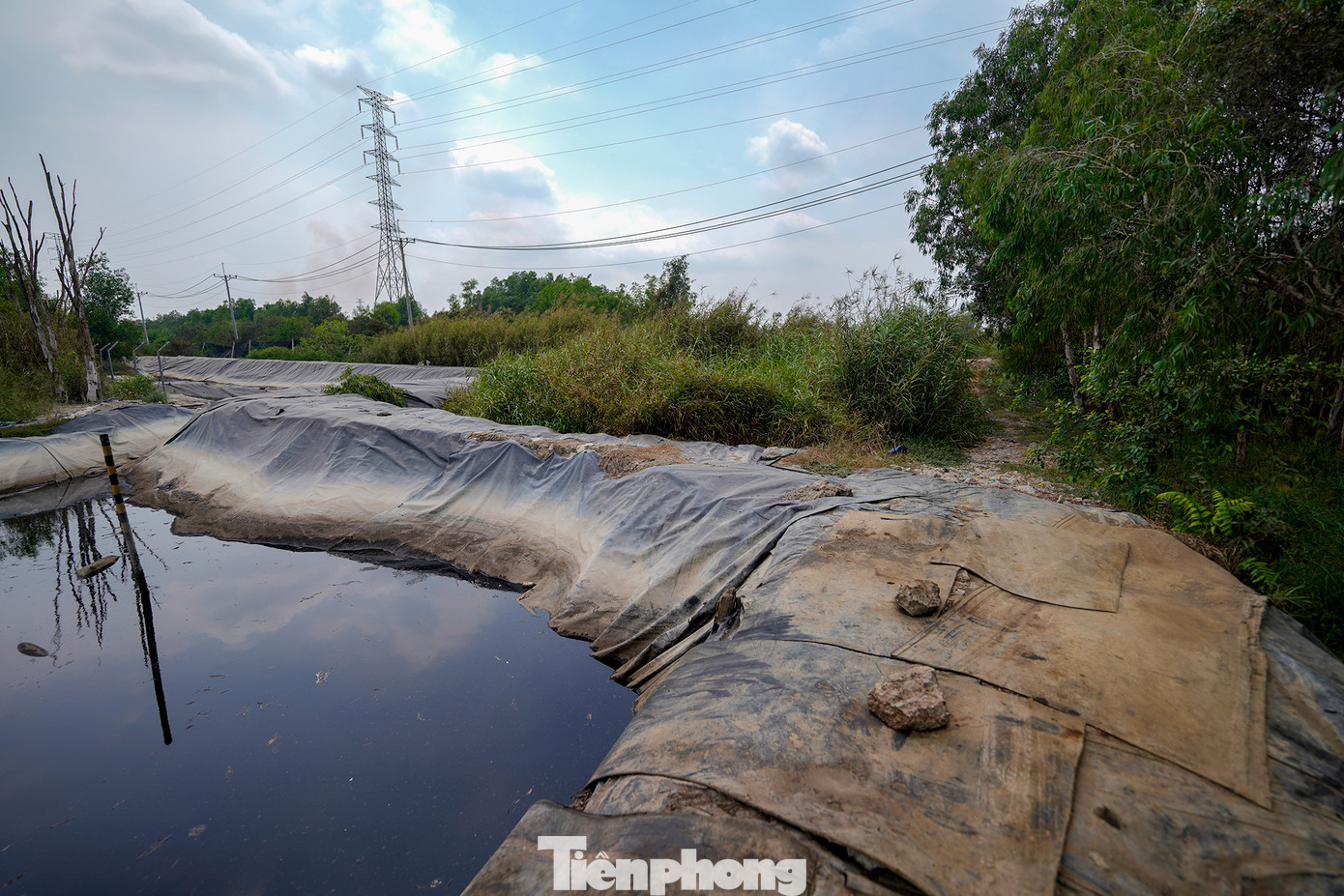 Khu vườn cây và bãi rác chỉ được ngăn cách bằng một bờ đất và có thể nhận thấy trạng thái khác biệt ở hai bên bờ đất. Khu vườn cây và bãi rác chỉ được ngăn cách bằng một bờ đất và có thể nhận thấy trạng thái khác biệt ở hai bên bờ đất.