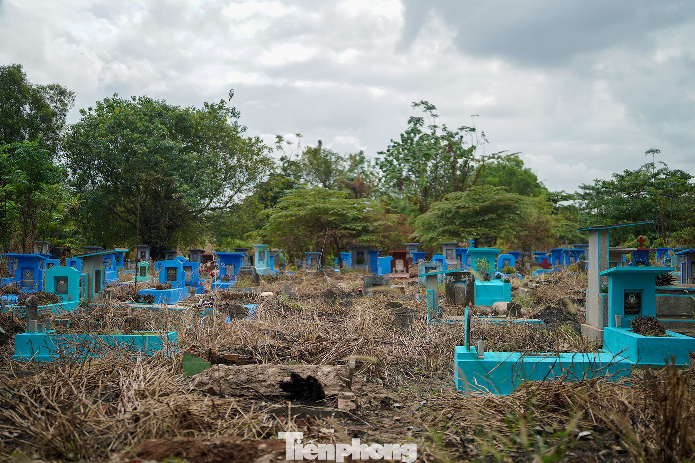 Khu vực này chỉ vừa bốc vài ngôi mộ.