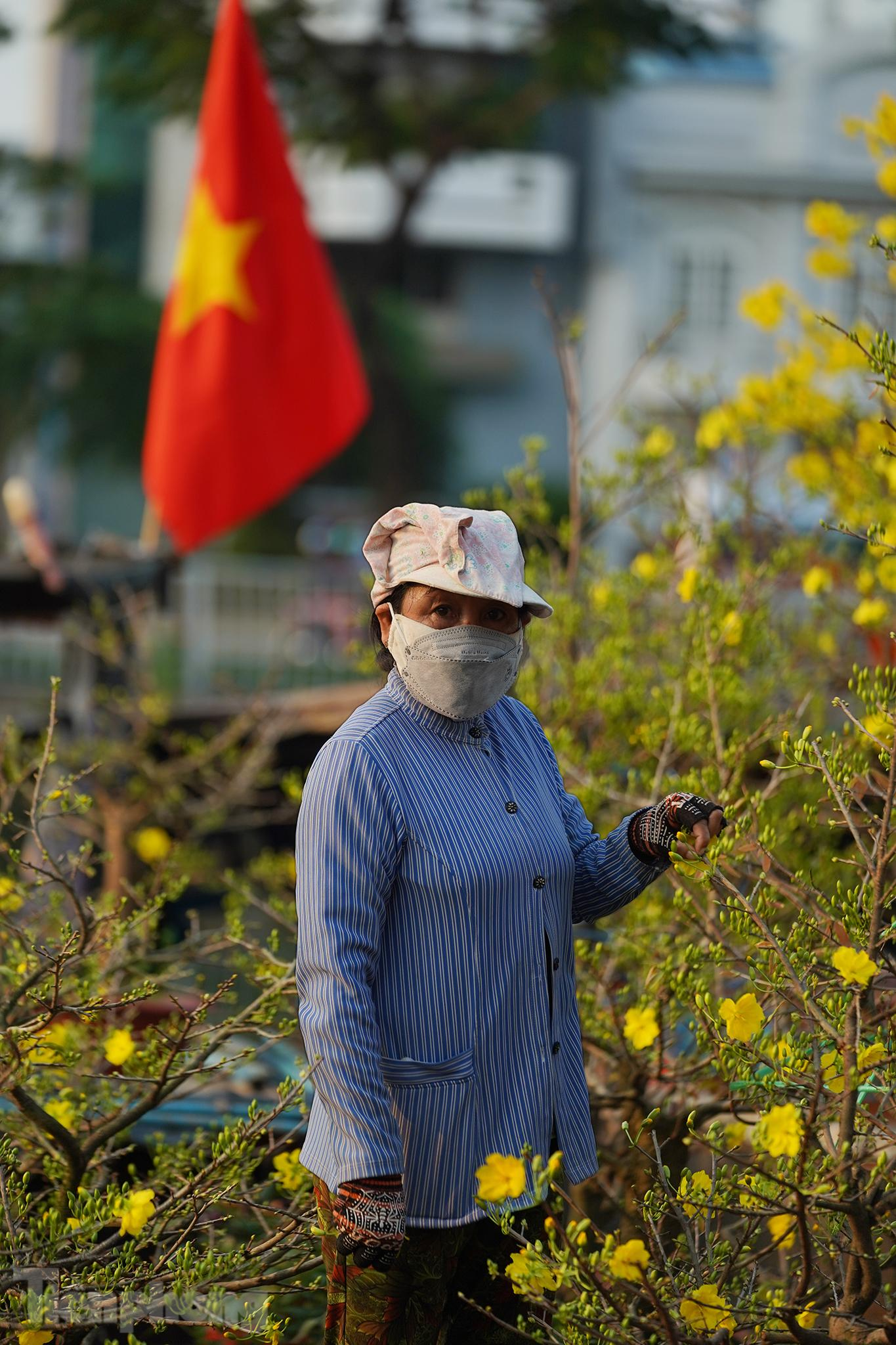 Cô Hai (Cái Mơn, Bến Tre) hơn chục năm mang cây cảnh lên bán tại Bến Bình Đông cho biết: "Mai trên 5 tuổi được bán với giá 2-3 triệu đồng/gốc, gốc to hơn giá hơn chục triệu đồng. Có những chậu mai chơi Tết loại mini, thường được biết đến là mai chiết cành. Mỗi chậu giá từ 500.000 đến hơn 1.000.000 đồng”.