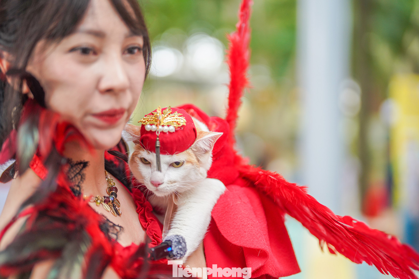 Chị Nguyễn Thảo Hiếu hoá trang chú mèo Misen của mình thành Phượng Hoàng lửa và giành giải cao trong phần thi thời trang thú cưng.