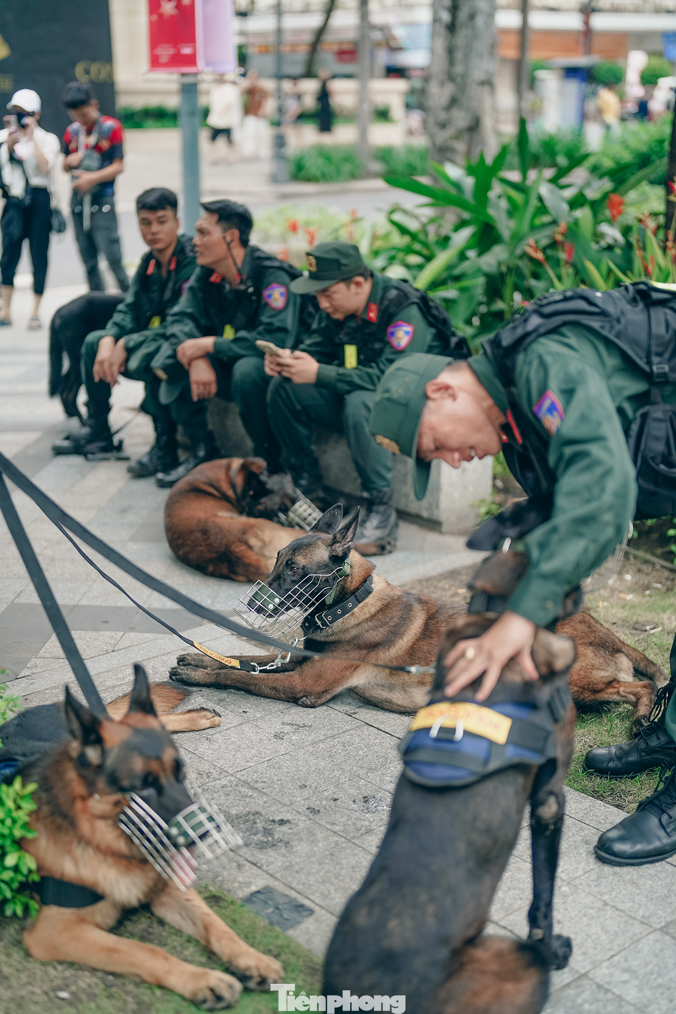Phút nghỉ ngơi giữa phiên tuần tra, canh gác.