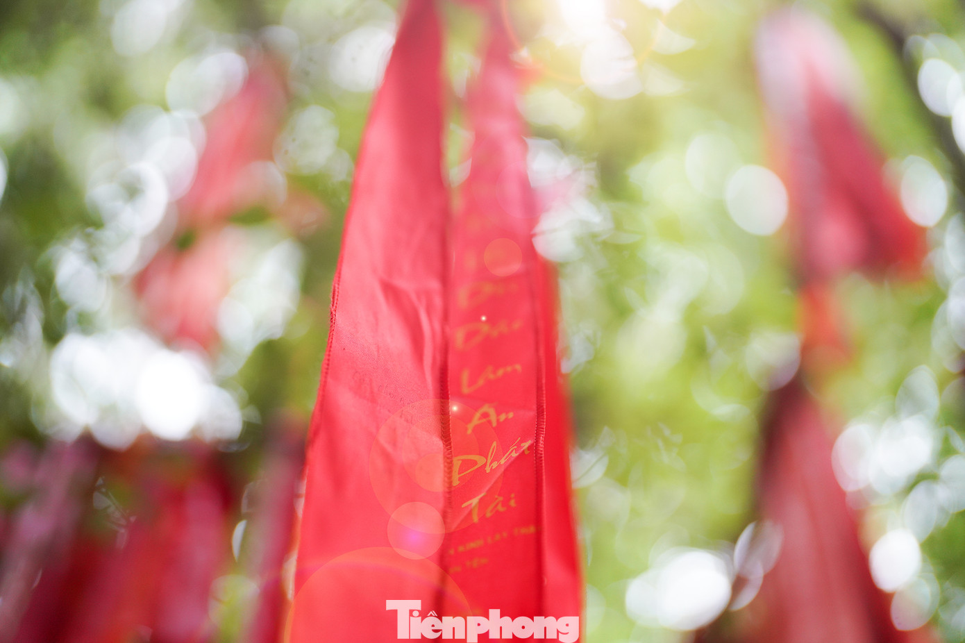 Những dải lụa được treo thành từng chùm, xen kẽ nhau, tạo nên khung cảnh vô cùng bắt mắt và ấn tượng. Không chỉ vậy, mỗi dải lụa đều mang theo những ước mơ, hy vọng của mỗi người. Điều này khiến cho cây ước nguyện trở thành một địa điểm không thể bỏ qua khi đến Suối Tiên. Những dải lụa được treo thành từng chùm, xen kẽ nhau, tạo nên khung cảnh vô cùng bắt mắt và ấn tượng. Không chỉ vậy, mỗi dải lụa đều mang theo những ước mơ, hy vọng của mỗi người. Điều này khiến cho cây ước nguyện trở thành một địa điểm không thể bỏ qua khi đến Suối Tiên.