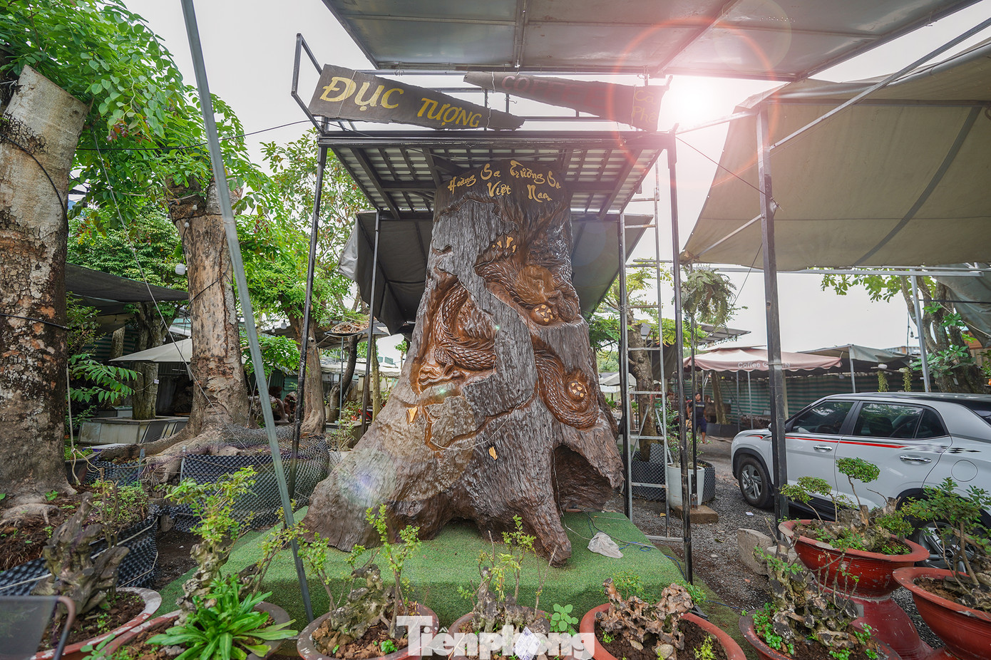 Khối gỗ lũa có chiều cao 4m, đường kính gốc 2m được các nghệ nhân điêu khắc ròng rã hơn 6 tháng. Khối gỗ lũa có chiều cao 4m, đường kính gốc 2m được các nghệ nhân điêu khắc ròng rã hơn 6 tháng.