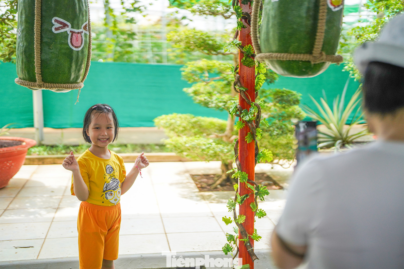 Khu vườn bí đao đặc biệt thu hút các em nhỏ.