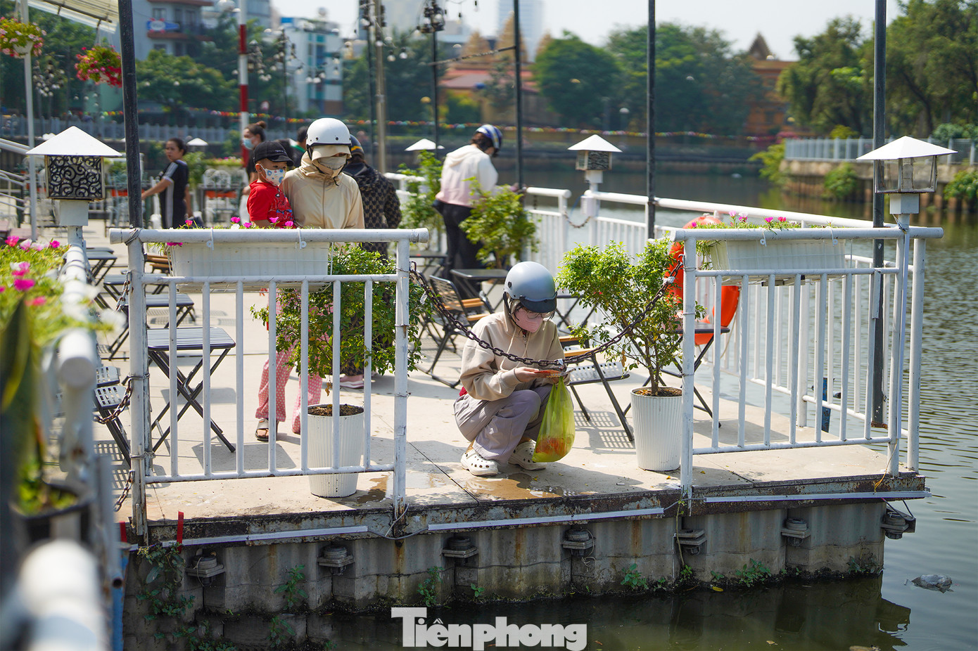 Theo quan niệm dân gian, ông Công, ông Táo sẽ cưỡi cá chép để lên trời báo cáo với Ngọc Hoàng về những việc làm tốt, xấu của gia đình trong năm. Việc phóng sinh cá chép như một cách tiễn đưa các ngài lên Thiên đình. Phóng sinh cá chép được xem là hành động cầu mong một năm mới bình an, hạnh phúc và may mắn. Theo quan niệm dân gian, ông Công, ông Táo sẽ cưỡi cá chép để lên trời báo cáo với Ngọc Hoàng về những việc làm tốt, xấu của gia đình trong năm. Việc phóng sinh cá chép như một cách tiễn đưa các ngài lên Thiên đình. Phóng sinh cá chép được xem là hành động cầu mong một năm mới bình an, hạnh phúc và may mắn.