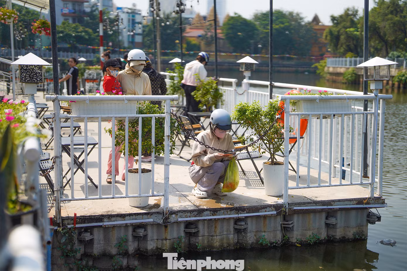 Theo quan niệm dân gian, ông Công, ông Táo sẽ cưỡi cá chép để lên trời báo cáo với Ngọc Hoàng về những việc làm tốt, xấu của gia đình trong năm. Việc phóng sinh cá chép như một cách tiễn đưa các ngài lên Thiên đình. Phóng sinh cá chép được xem là hành động cầu mong một năm mới bình an, hạnh phúc và may mắn.
