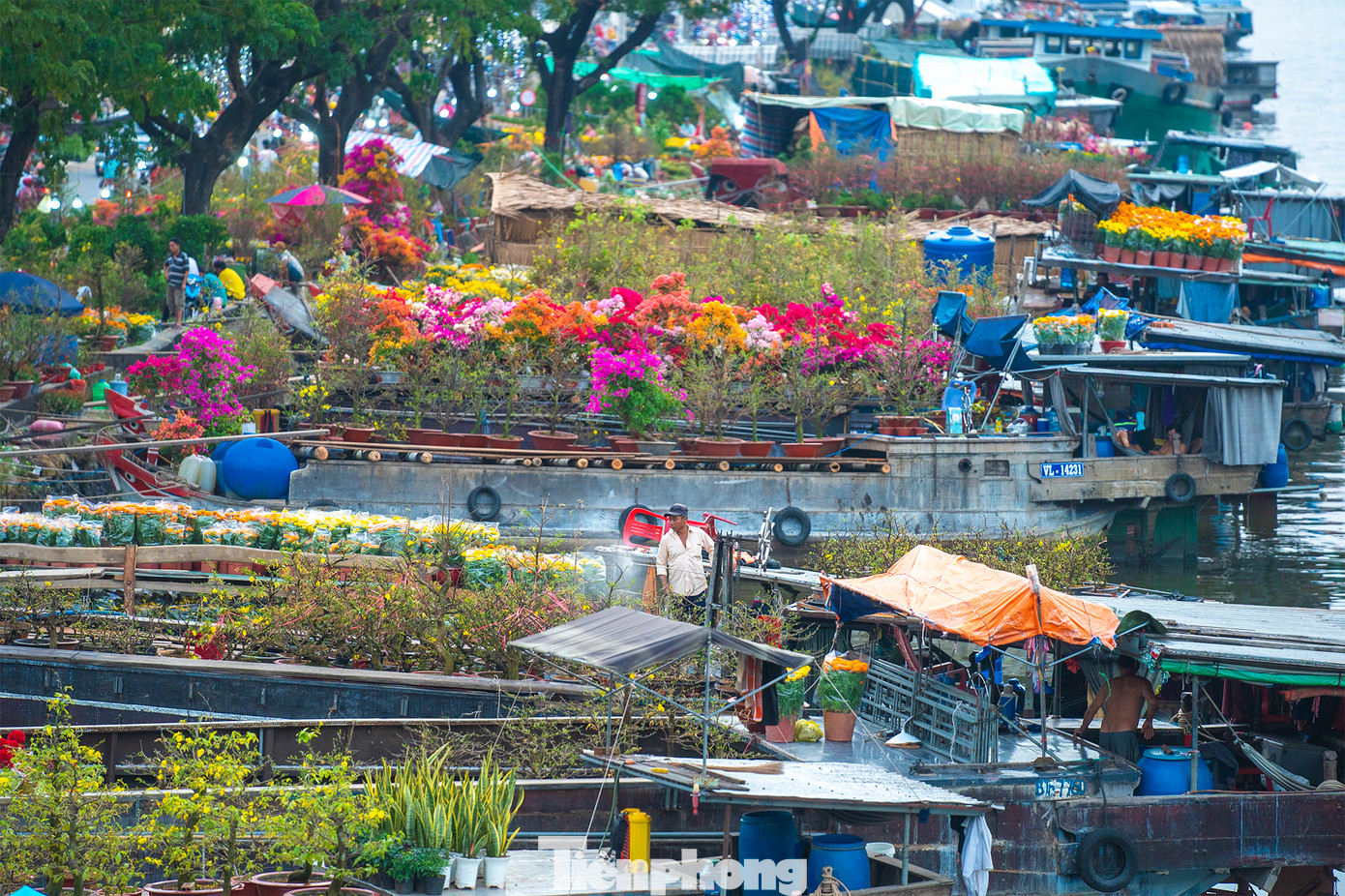 Được biết, chợ hoa xuân “Trên bến dưới thuyền" Bến Bình Đông, quận 8 là một trong 19 sự kiện văn hóa, nghệ thuật, lễ hội tiêu biểu thường niên tại TPHCM.