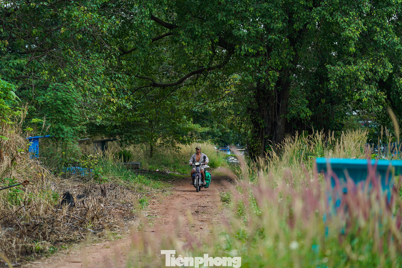 "Con đường này trước kia hai bên mộ dày đặc", bà Nguyễn Thị Linh - người dân sống cạnh khu Nghĩa trang Bình Hưng Hòa chia sẻ.
