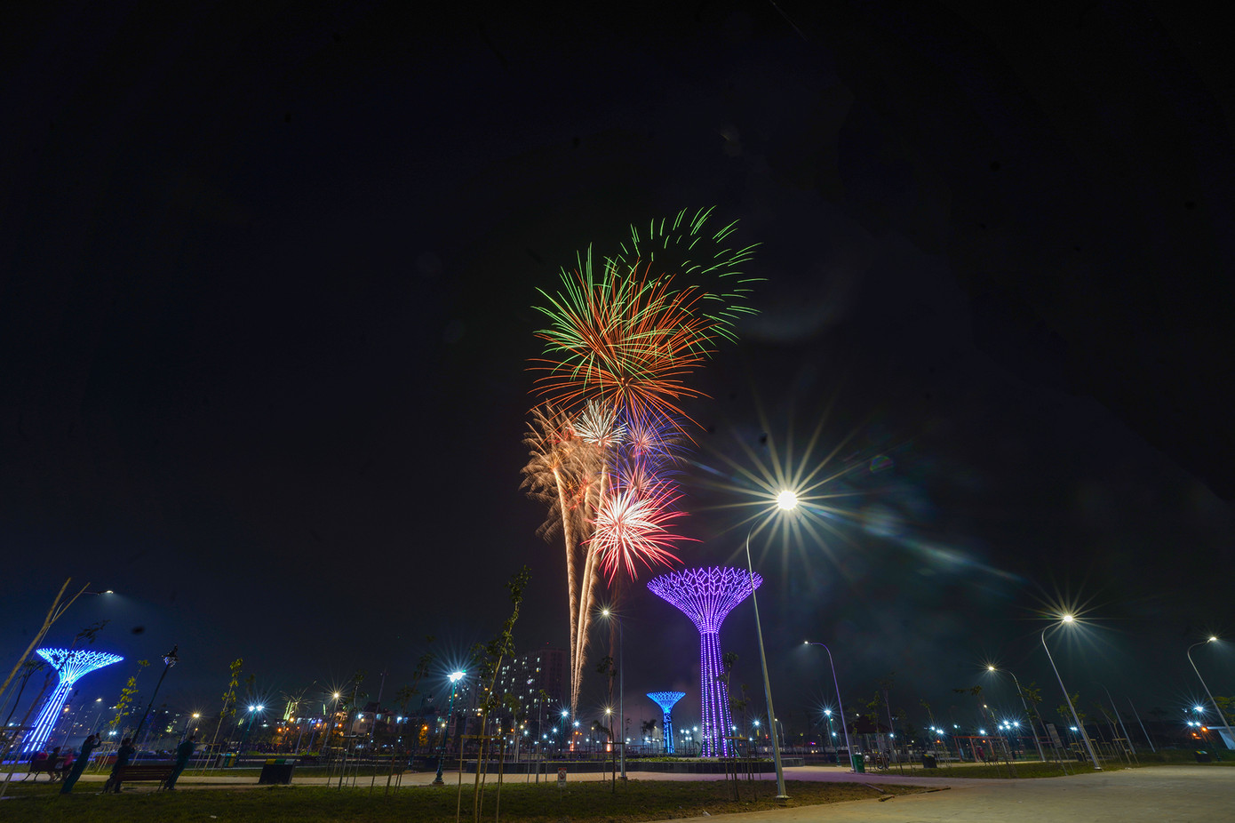 Pháo hoa rực sáng đón năm mới Ất Tỵ an lành, thịnh vượng ảnh 169 Pháo hoa rực sáng đón năm mới Ất Tỵ an lành, thịnh vượng ảnh 169