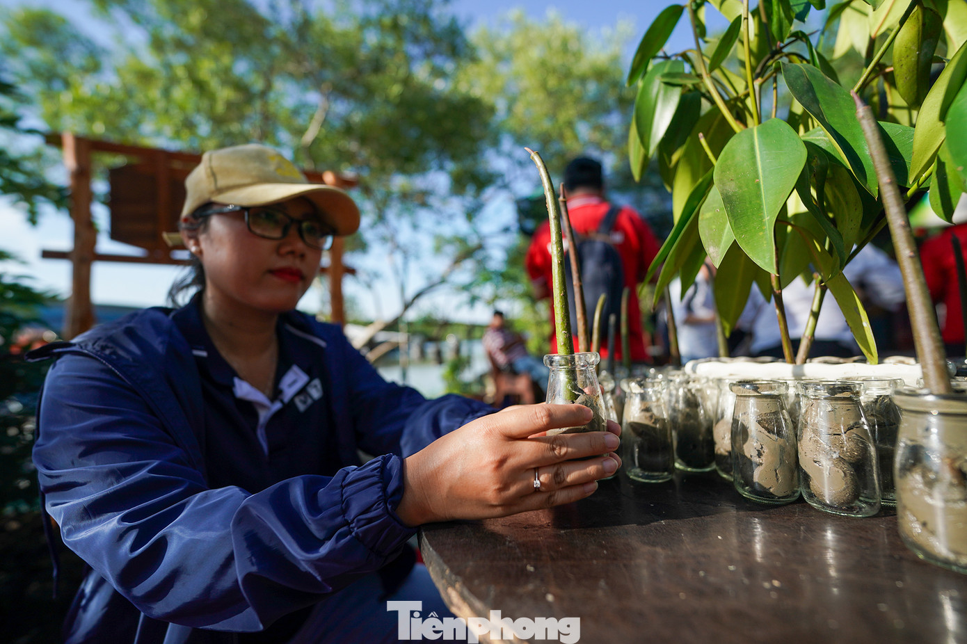Đua bạch tuộc và cúm xong, du khách sẽ được tuyên truyền về ý nghĩa của việc "giữ màu xanh của rừng" bằng cách nhận một cây đước non để đi trồng.