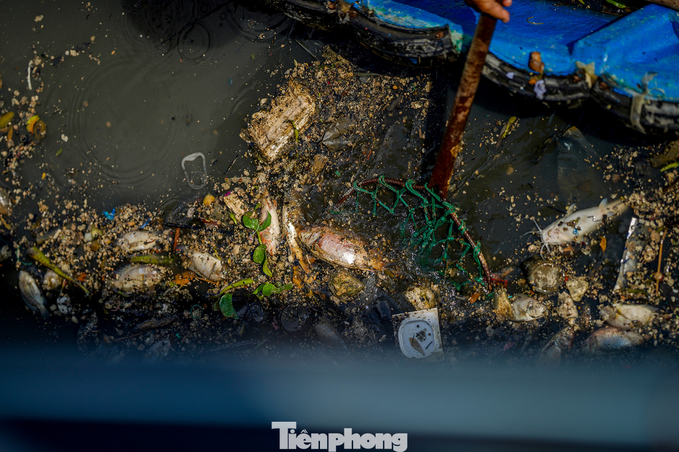 Công tác dọn dẹp được triển khai nhanh chóng. Công tác dọn dẹp được triển khai nhanh chóng.