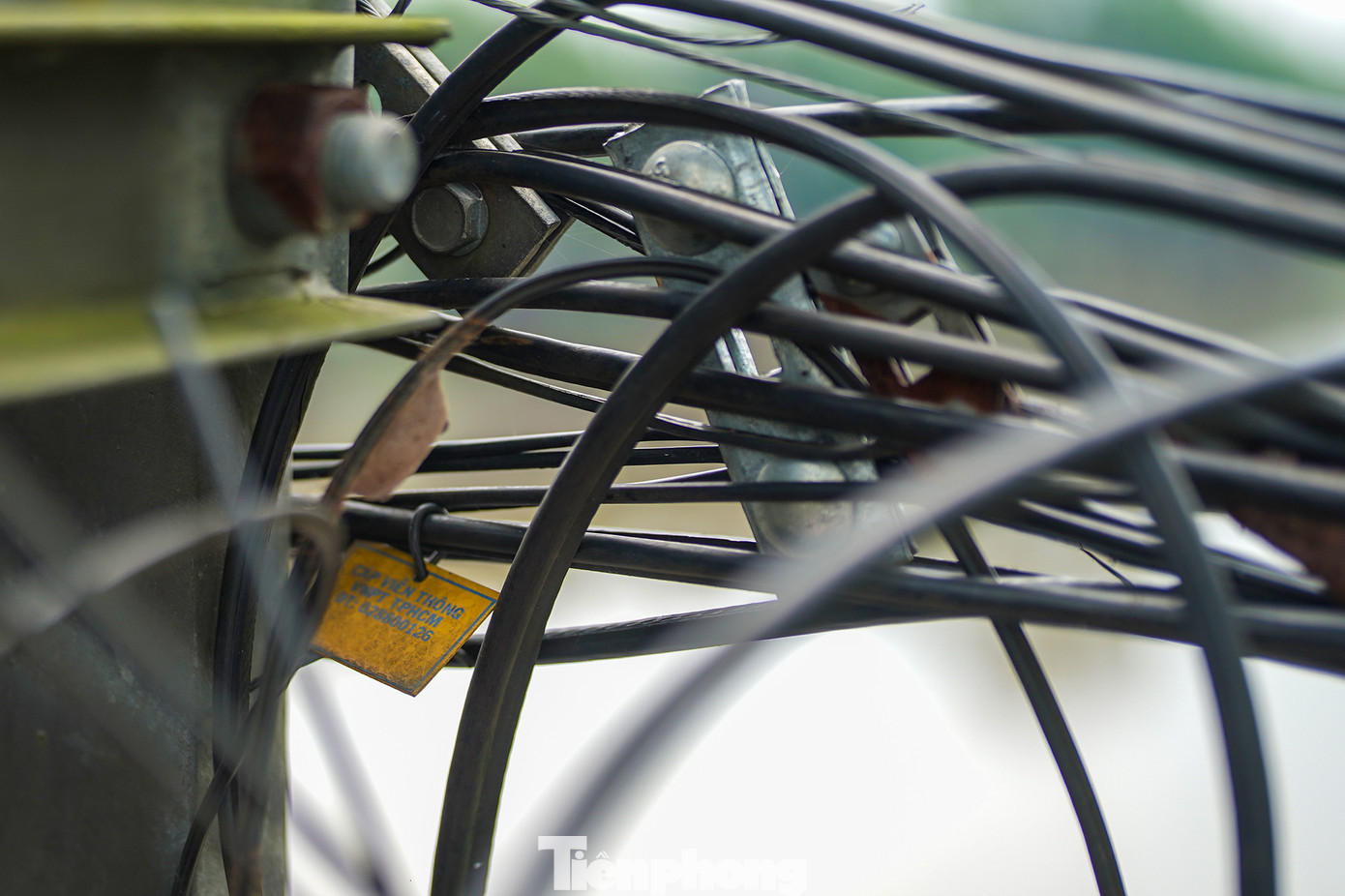 Trong số đó có cả cáp viễn thông. Trong số đó có cả cáp viễn thông.