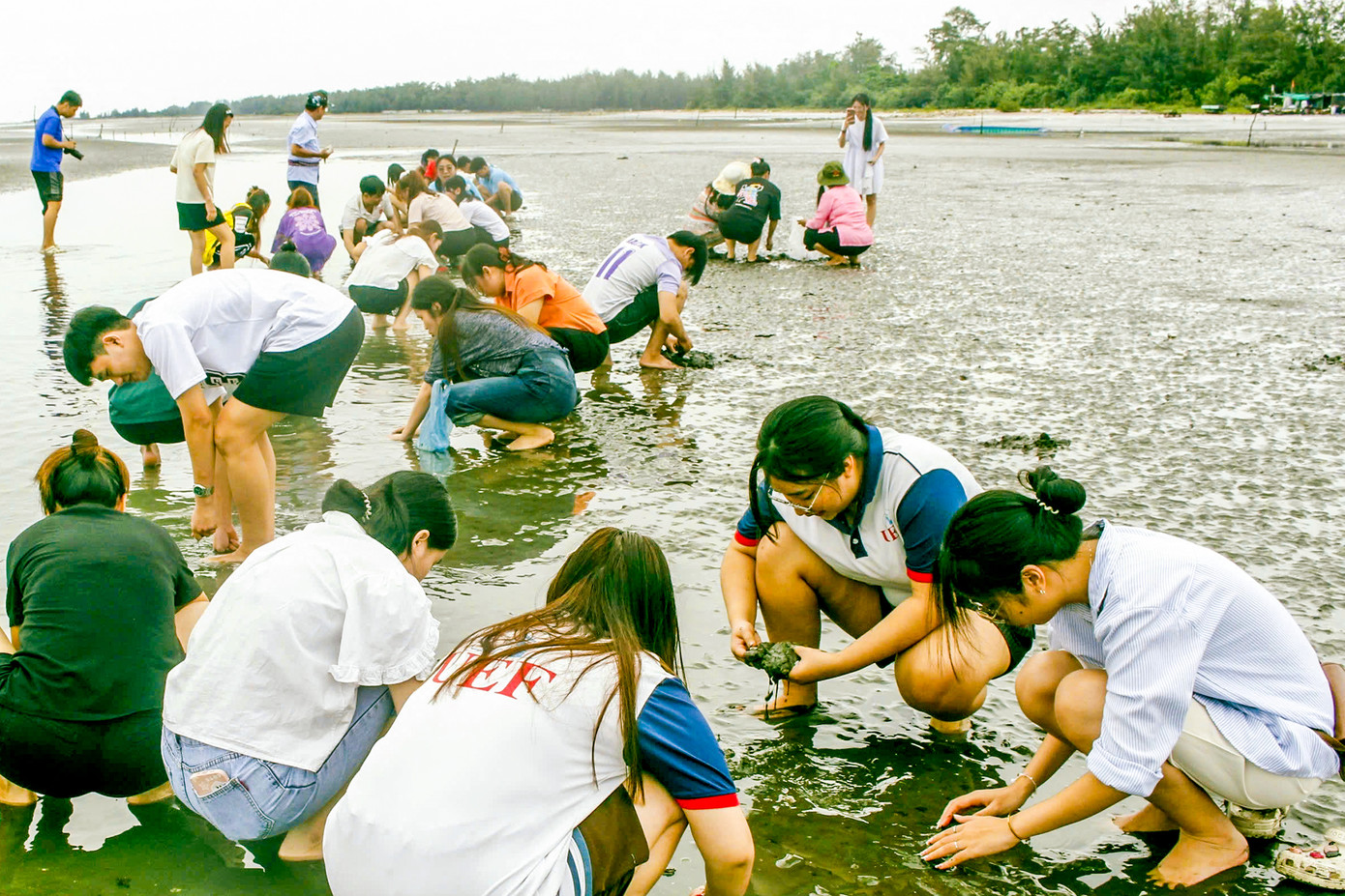 Trải nghiệm thu hoạch nghêu tại bãi biển 30/4, xã Long Hòa. Ảnh: Thanh Tâm Trải nghiệm thu hoạch nghêu tại bãi biển 30/4, xã Long Hòa. Ảnh: Thanh Tâm