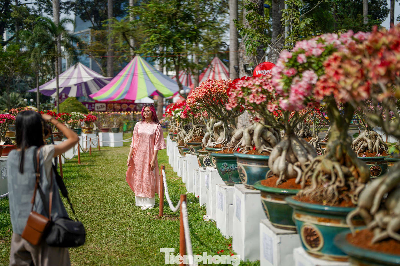 Nhiều hoạt động đặc sắc thu hút du khách đến tham quan, thưởng lãm. Nhiều du khách thích thú với hội thi chim, dạo bước qua Ngõ Trầm, con đường mờ sương với hai hàng lan Trầm Rồng Đỏ hai bên... Nhiều hoạt động đặc sắc thu hút du khách đến tham quan, thưởng lãm. Nhiều du khách thích thú với hội thi chim, dạo bước qua Ngõ Trầm, con đường mờ sương với hai hàng lan Trầm Rồng Đỏ hai bên...