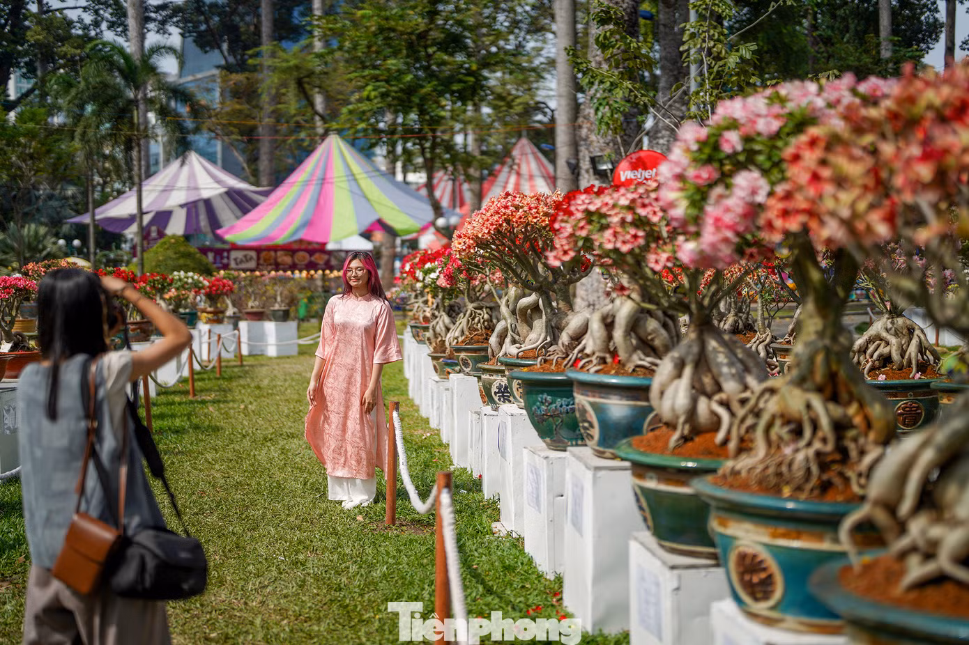 Nhiều hoạt động đặc sắc thu hút du khách đến tham quan, thưởng lãm. Nhiều du khách thích thú với hội thi chim, dạo bước qua Ngõ Trầm, con đường mờ sương với hai hàng lan Trầm Rồng Đỏ hai bên... Nhiều hoạt động đặc sắc thu hút du khách đến tham quan, thưởng lãm. Nhiều du khách thích thú với hội thi chim, dạo bước qua Ngõ Trầm, con đường mờ sương với hai hàng lan Trầm Rồng Đỏ hai bên...