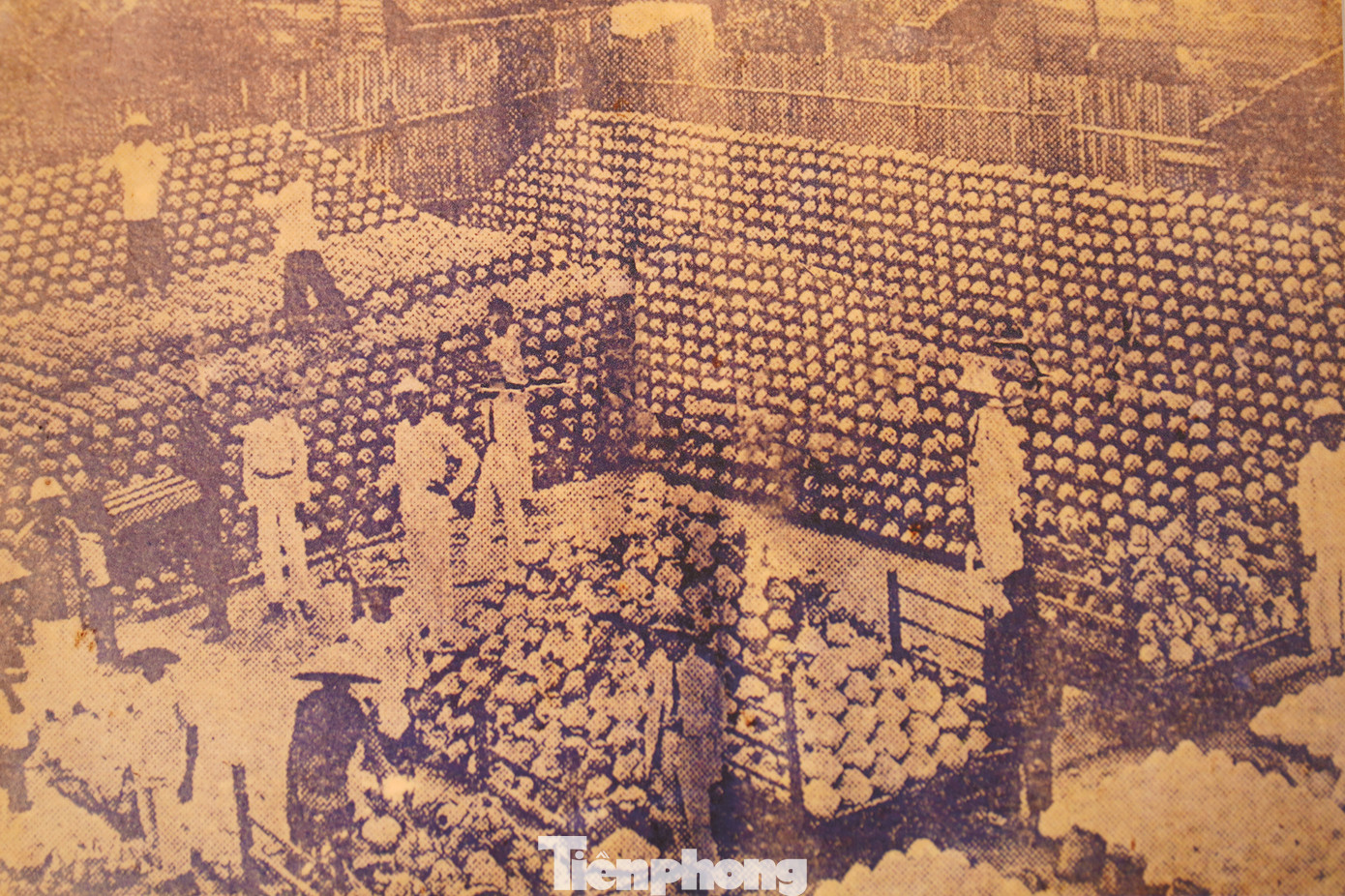 Xưởng nước mắm Liên Thành.