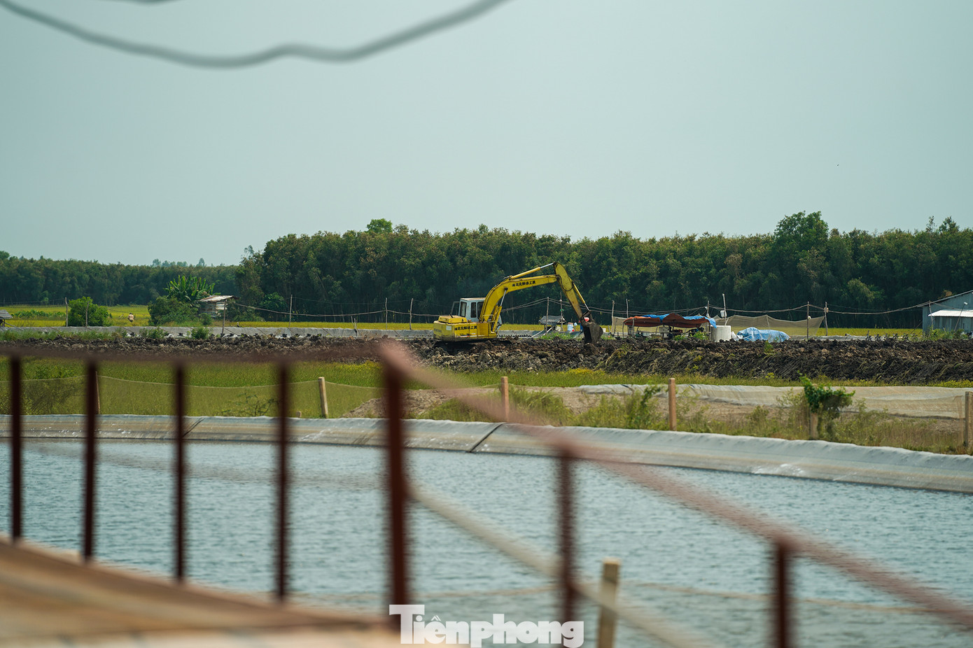 Trong khi cơ quan chức năng vẫn còn đang tìm giải pháp thì các ao nuôi vẫn được các hộ dân tôn tạo, phát triển... Trong khi cơ quan chức năng vẫn còn đang tìm giải pháp thì các ao nuôi vẫn được các hộ dân tôn tạo, phát triển...