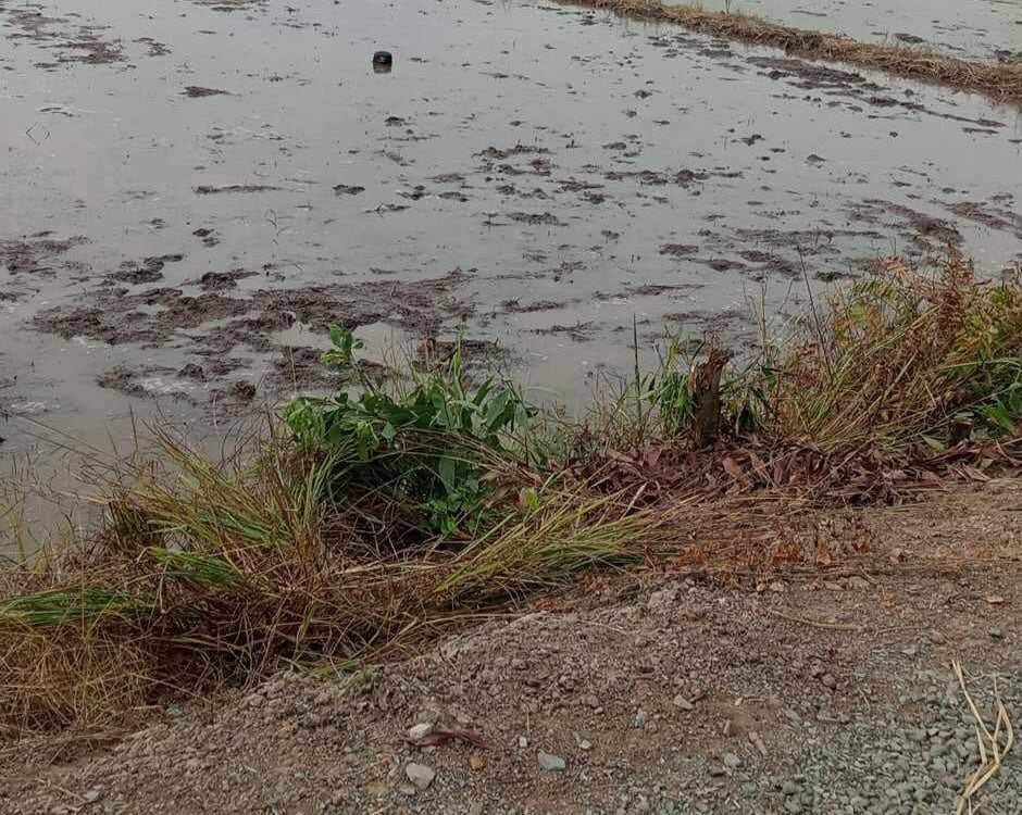 Hiện trường bốn cha con bị nhóm người mâu thuẫn vẫn còn vết máu. Hiện trường bốn cha con bị nhóm người mâu thuẫn vẫn còn vết máu.