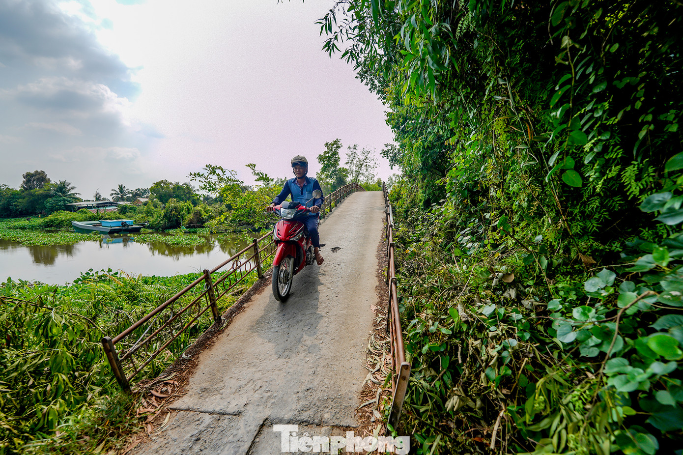 Con đường vào công trình Cầu Hạnh Phúc (xã Mỹ Quý Đông, Đức Huệ) khó khăn, cách trở. Con đường vào công trình Cầu Hạnh Phúc (xã Mỹ Quý Đông, Đức Huệ) khó khăn, cách trở.