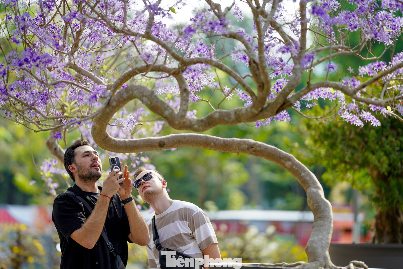 Nhiều hoạt động đặc sắc thu hút du khách đến tham quan, thưởng lãm. Nhiều du khách thích thú với hội thi chim, dạo bước qua Ngõ Trầm, con đường mờ sương với hai hàng lan Trầm Rồng Đỏ hai bên... Nhiều hoạt động đặc sắc thu hút du khách đến tham quan, thưởng lãm. Nhiều du khách thích thú với hội thi chim, dạo bước qua Ngõ Trầm, con đường mờ sương với hai hàng lan Trầm Rồng Đỏ hai bên...