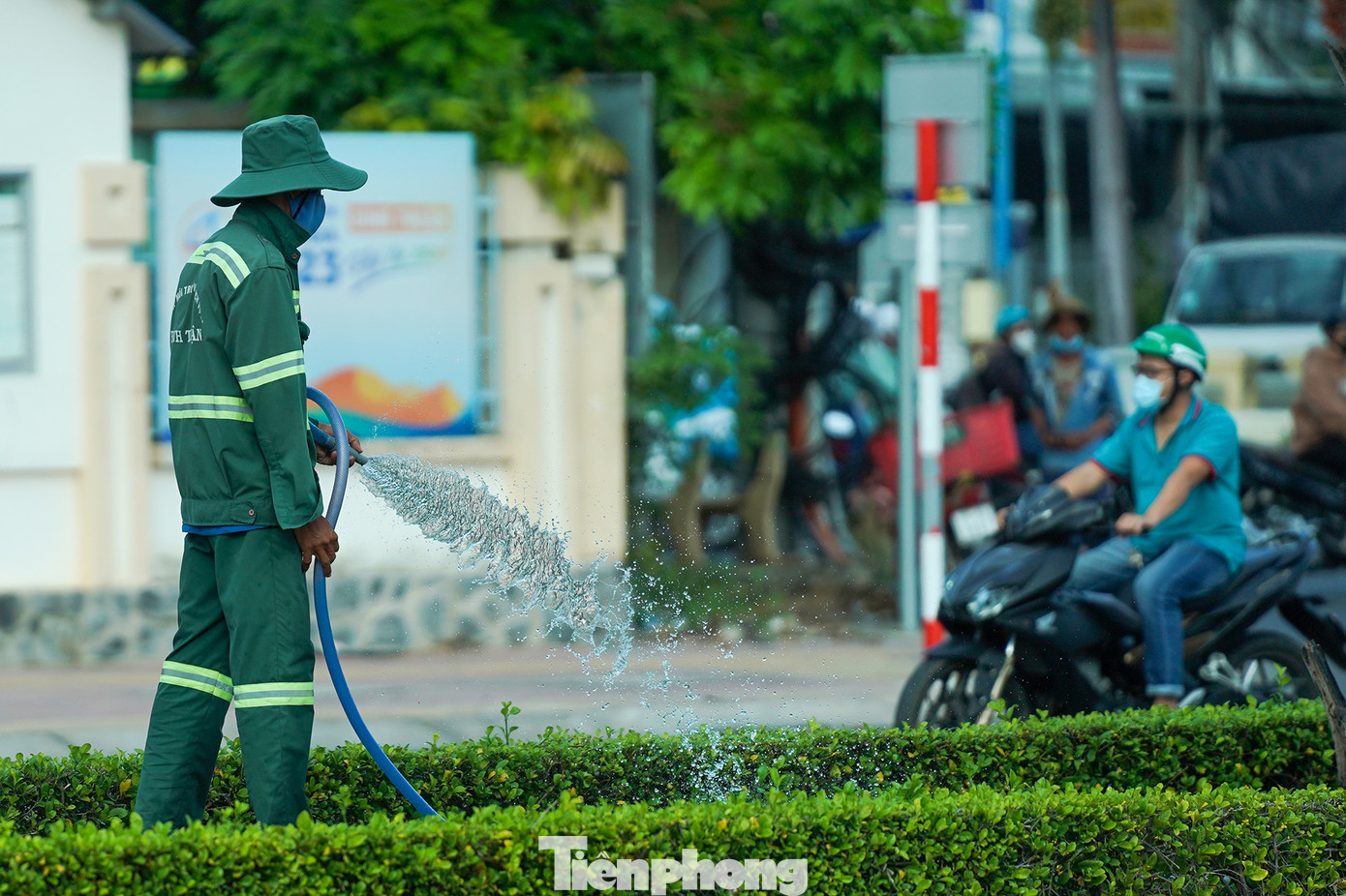 Công nhân chăm sóc cây xanh trên đại lộ Lê Duẩn.