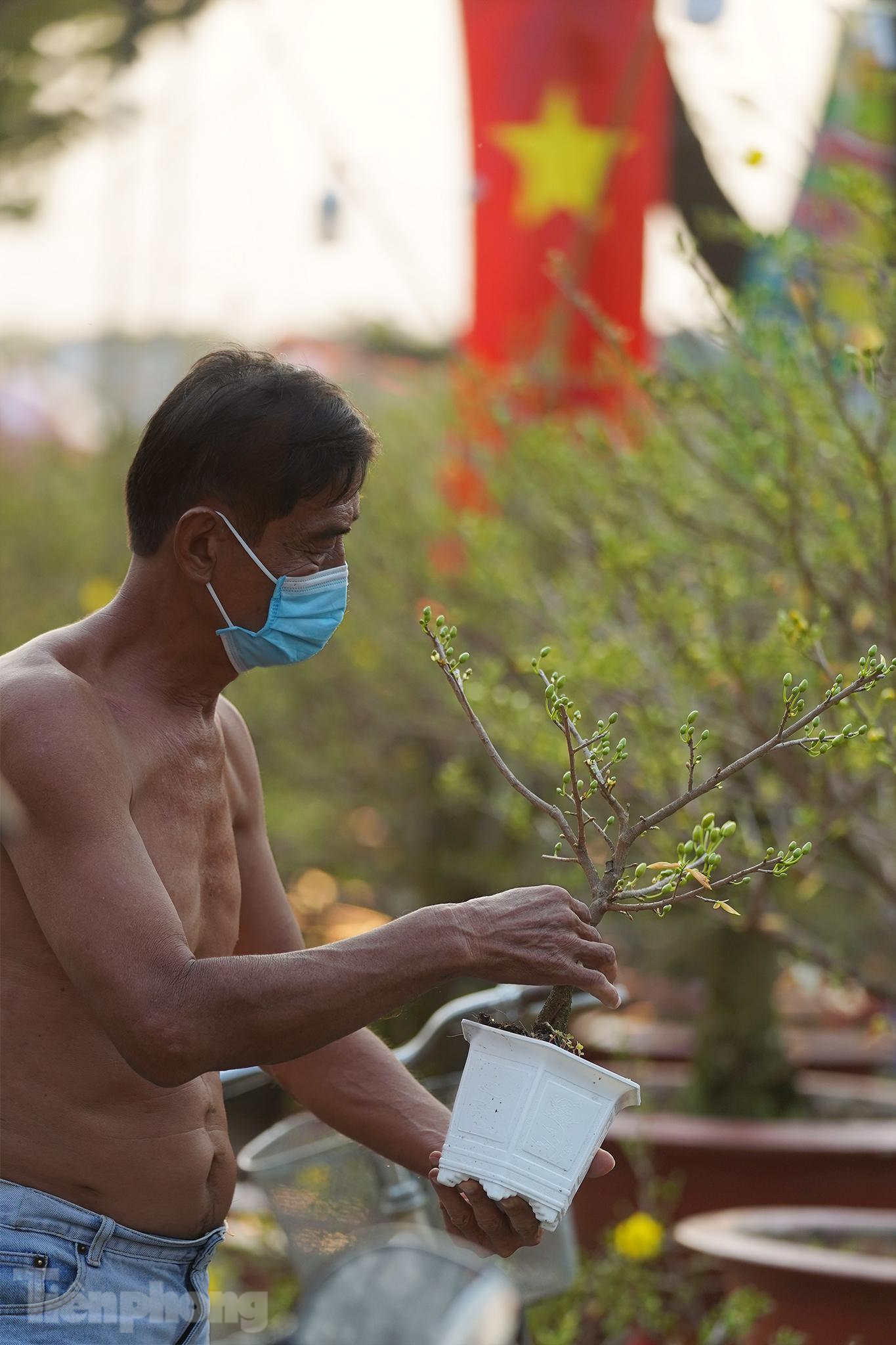 Ông Tâm, nhà gần khu chợ hoa cũng đạp xe ra tìm mua một cây mai. "Cây mai đẹp vậy có 150.000 trả giá gì nữa. Nghe nhiều người nói đợi đến gần giao thừa mua cho rẻ nhưng tôi thì khác, dịch ai cũng khổ, mình ra mua một chậu hoa vui vẻ không kỳ kèo, mặc cả để ủng hộ bà con. Từ Bến Tre chở lên cây mai như thế này mà giá lại vừa túi tiền, tui mua ngay", ông chia sẻ.