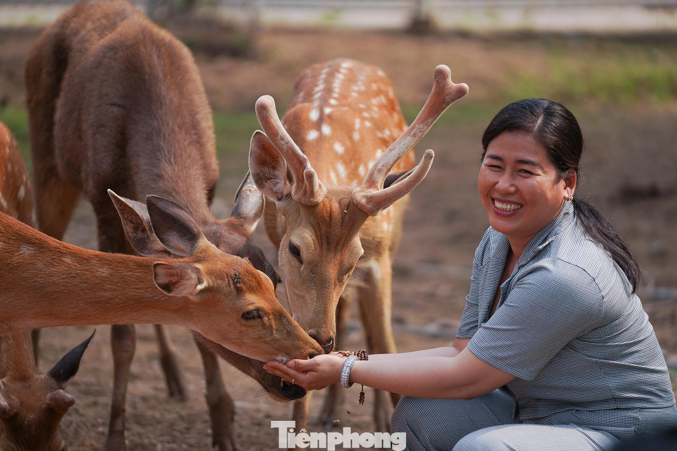 Chị Phương Linh, đại diện đơn vị lữ hành Rồng Việt (tỉnh Long An) khá thích thú với trải nghiệm đặc biệt này.