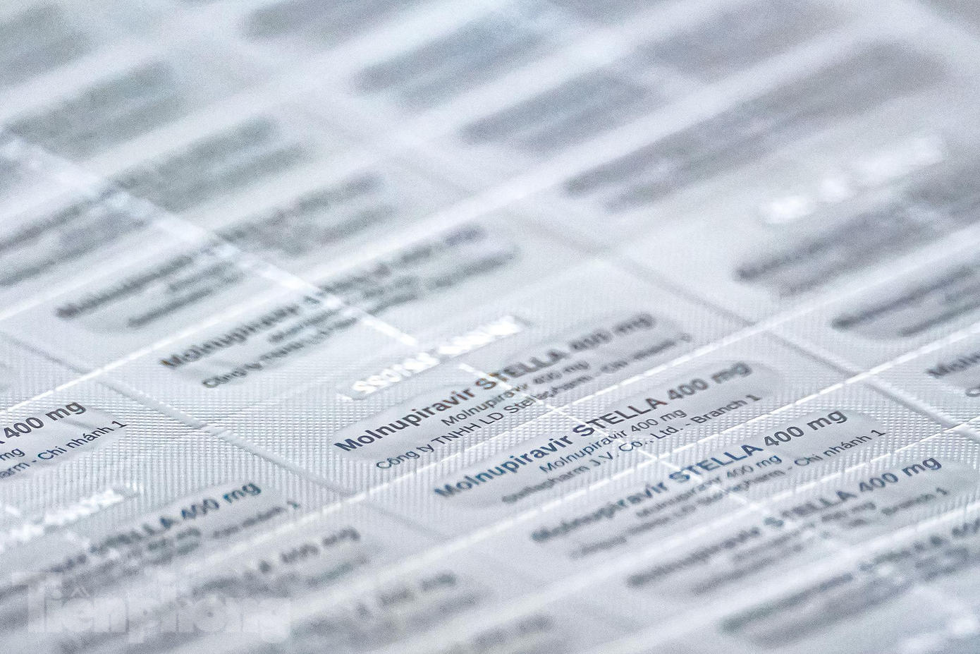 Sau khi đáp ứng tốt các điều kiện đặt ra, Công ty TNHH Liên doanh Stellapharm đã được nhượng quyền tự nguyện sản xuất thuốc Molnupiravir tại thị trường Việt Nam và cung ứng cho 105 nước có thu nhập thấp trên toàn cầu. Phía đơn vị nhượng quyền vừa hỗ trợ kỹ thuật cho nhà máy đồng thời cung cấp các thông tin cho cơ quan chức năng để quản lý sản phẩm theo đúng chất lượng.
