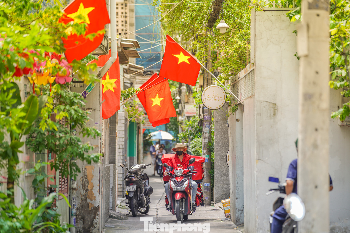 Con hẻm 384, Nam Kỳ Khởi Nghĩa (quận 3, TPHCM) rợp sắc cờ. Con hẻm 384, Nam Kỳ Khởi Nghĩa (quận 3, TPHCM) rợp sắc cờ.