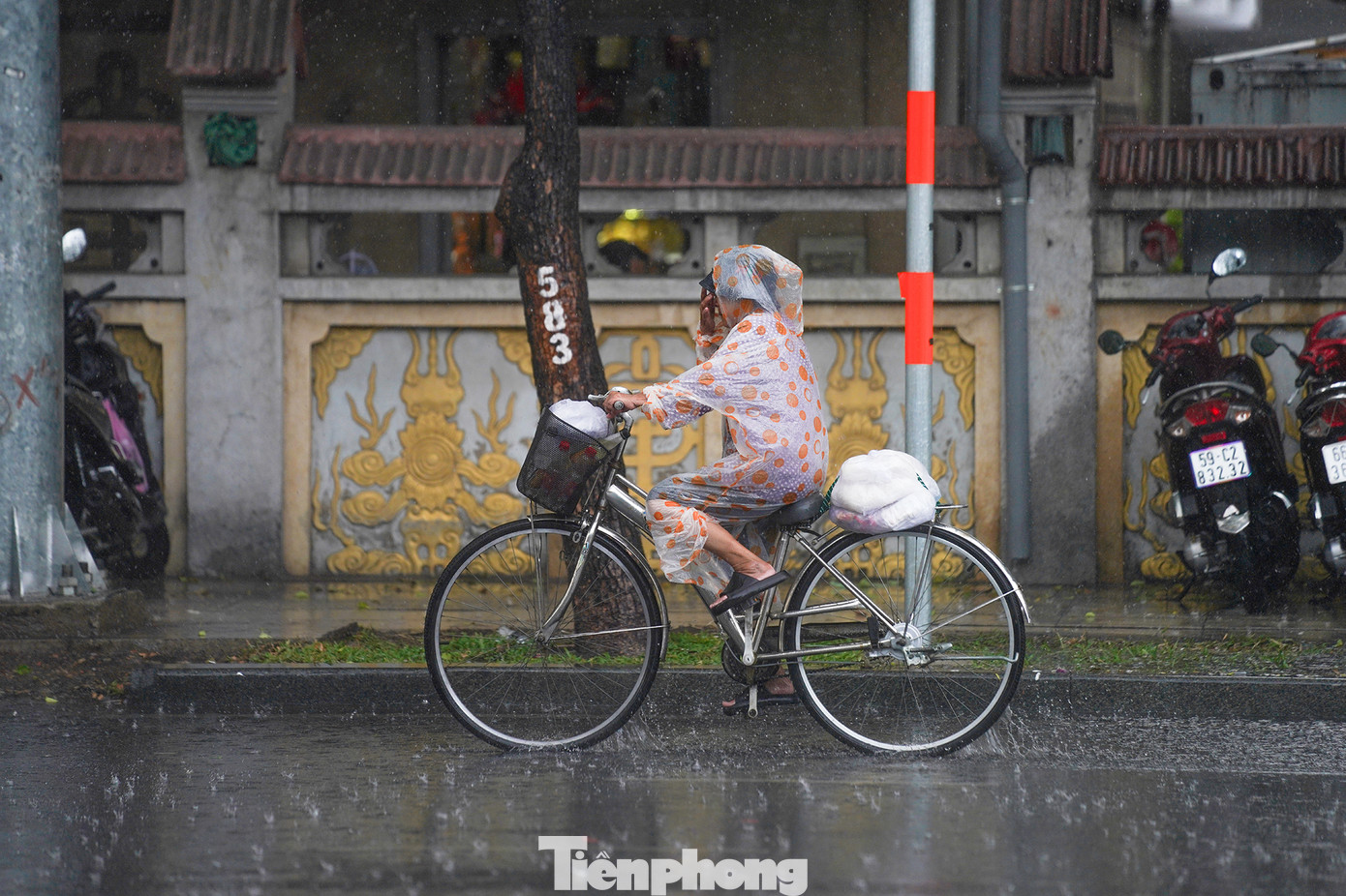 Nhiệt độ TPHCM theo dự báo trong khoảng 34 - 36 độ C, ít thay đổi so với ngày hôm trước. Độ ẩm tương đối phổ biến ở mức 53 - 64%; mật độ mây trung bình 18-30%. Hướng gió Đông Nam đạt vận tốc 11 - 13 km/h. Gió giật mạnh với vận tốc 26 - 32 km/h. Dự báo chỉ số UV tại các quận, huyện của TPHCM vẫn duy trì ở ngưỡng nguy cơ gây hại rất cao (12).