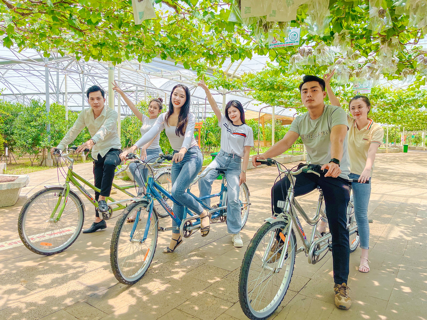 Bạn Phương Thảo ( người đi xe đạp ở giữa, ngụ Bình Dương) cho biết bản thân và nhóm bạn cảm thấy thoải mái khi tới đây. &quot;Vừa gần nhà, vừa được mua nho sạch tại vườn đảm bảo mà không phải đi ra Ninh Thuận như những năm trước. Đến với khu nông trại này, trải nghiệm đạp xe dưới những chùm nho giúp giảm áp lực công việc, được gần gũi với thiên nhiên, tôi như lạc vào một vùng quê chứ không phải đang ở TPHCM ồn ào, náo nhiệt&quot;, Thảo chia sẻ.