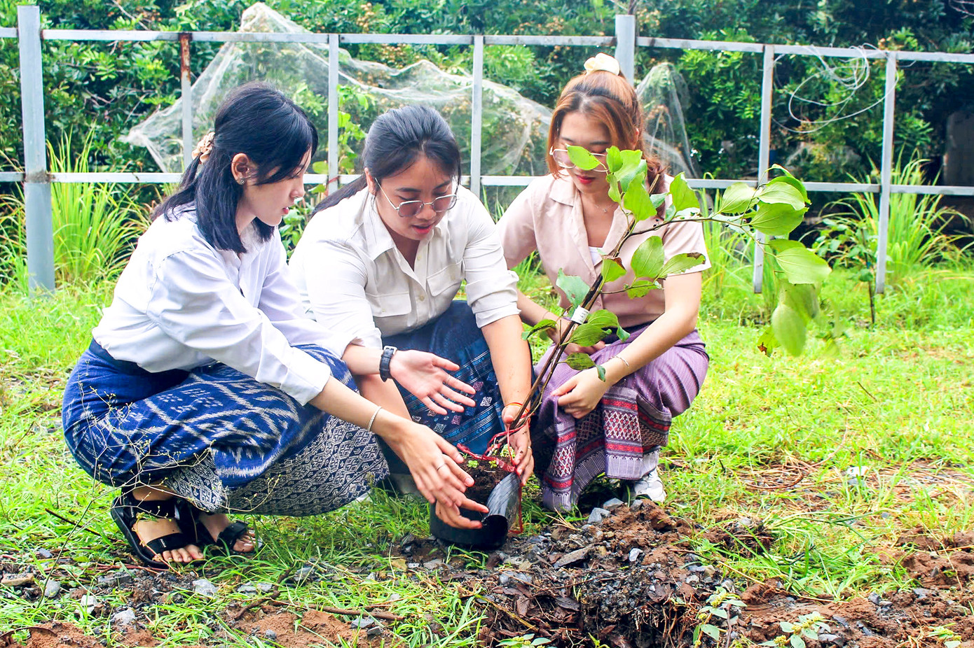 Những cây táo do cán bộ-chiến sĩ TPHCM và sinh viên nước bạn trồng. Cây táo là loại cây đặc biệt, sức sống dẻo dai, thích nghi với nhiều đặc tính môi trường. Ảnh: Thanh Tâm Những cây táo do cán bộ-chiến sĩ TPHCM và sinh viên nước bạn trồng. Cây táo là loại cây đặc biệt, sức sống dẻo dai, thích nghi với nhiều đặc tính môi trường. Ảnh: Thanh Tâm
