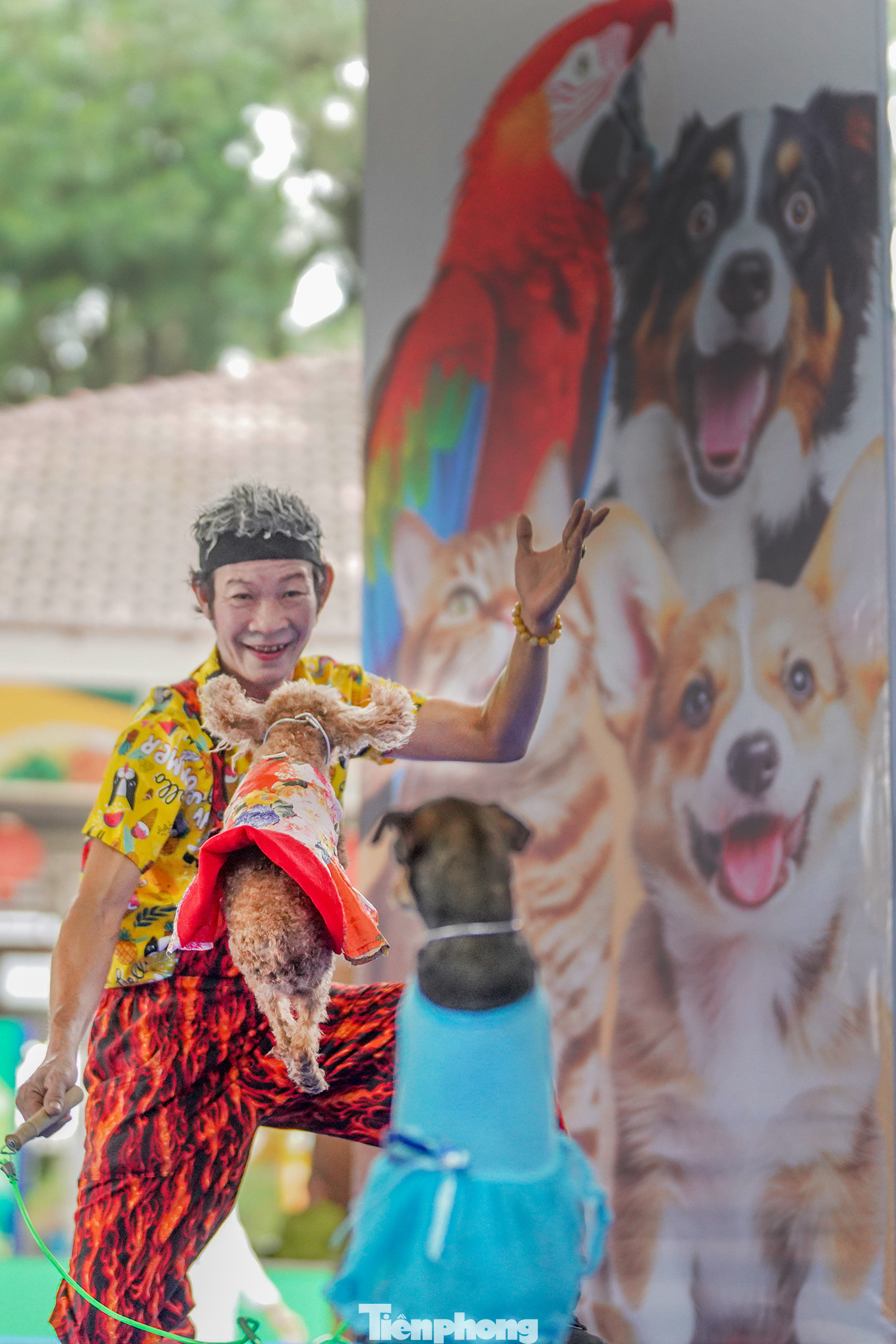 Tại ngày hội còn diễn ra một số hoạt động, như biểu diễn nghệ thuật các tiết mục xiếc thú, tạp kỹ; spa thú cưng, kiểm tra sức khỏe miễn phí…