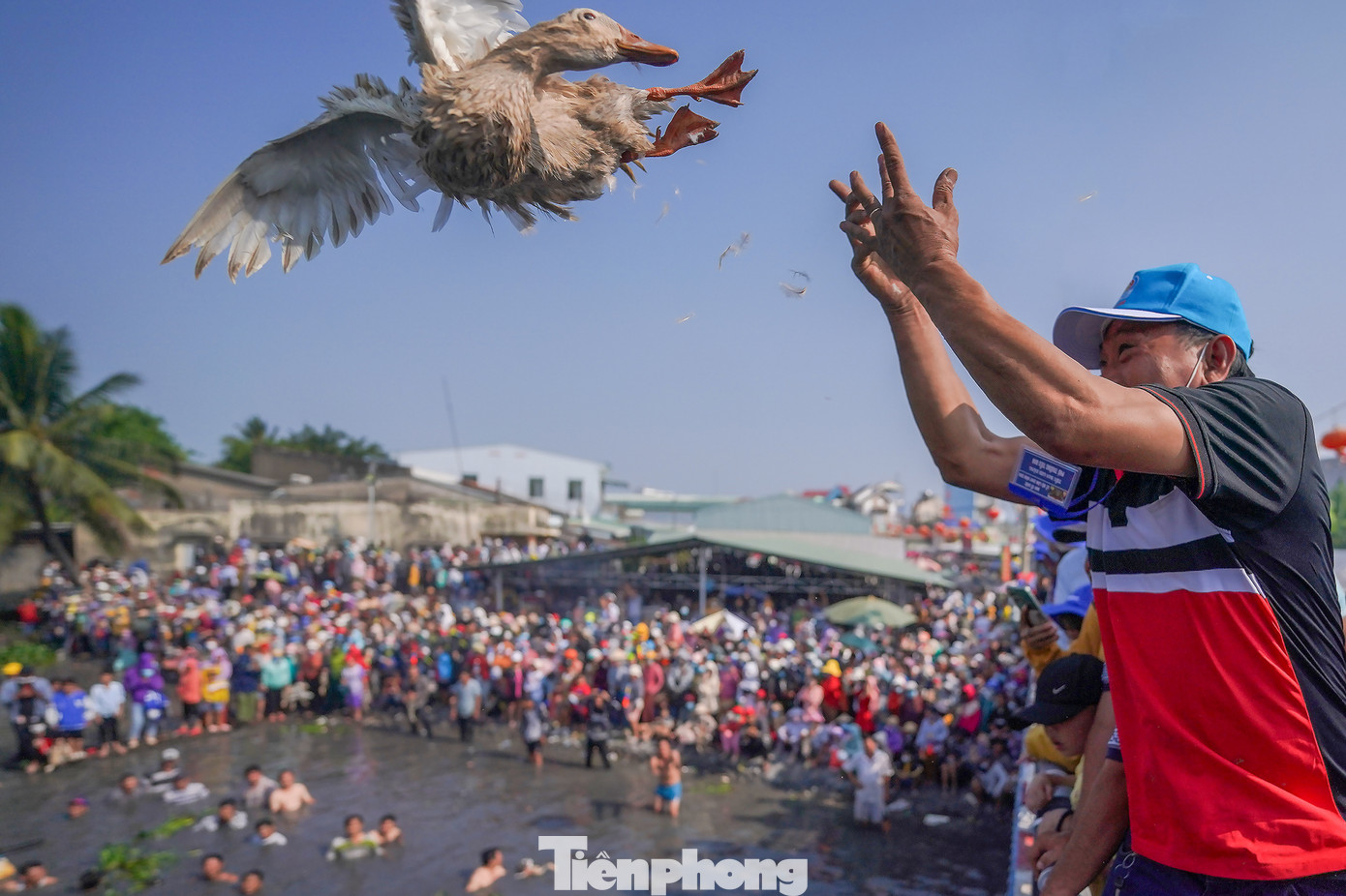 15h chiều ngày 25/2, hàng ngàn người dân tham gia lễ hội làm chay đã đứng ken cứng hai bên con rạch cạnh chợ Tầm Vu chờ xem cuộc thi bắt vịt bằng tay không.