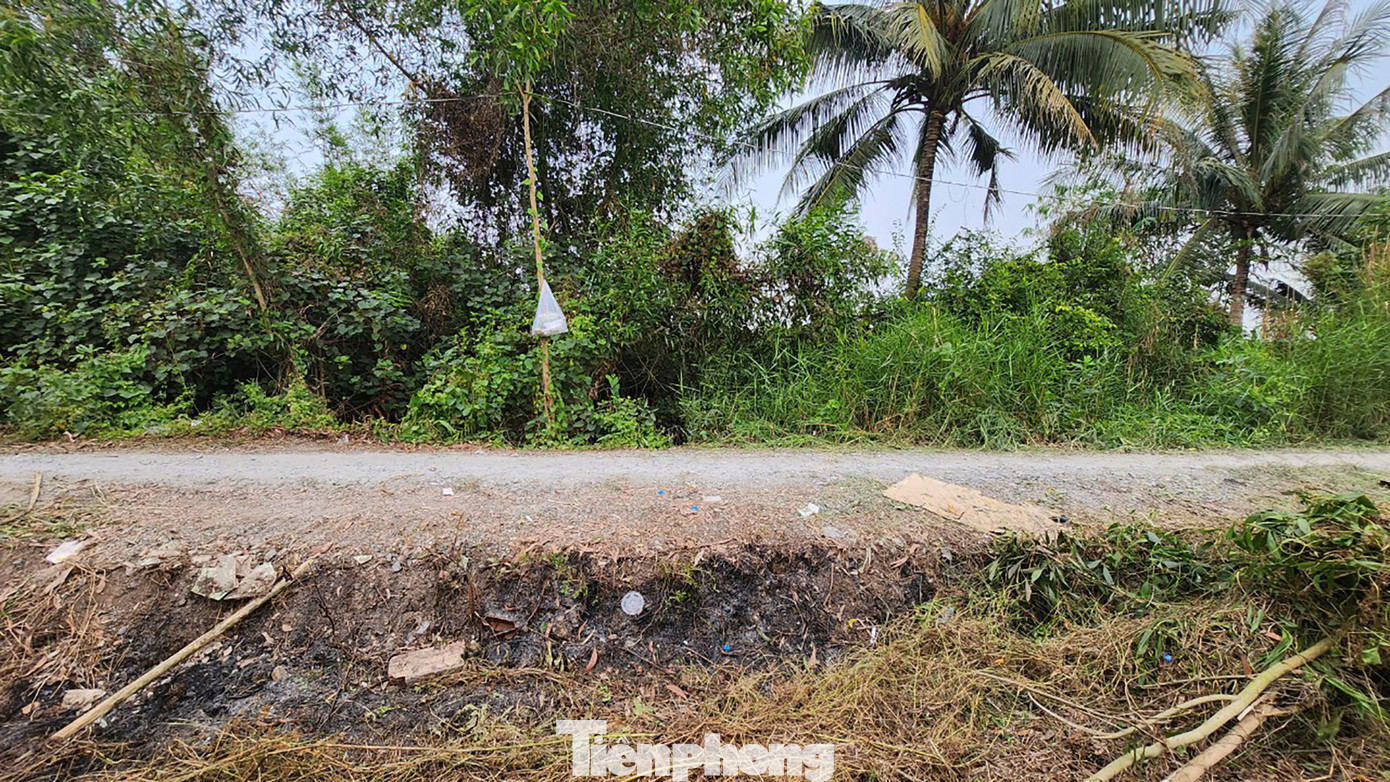 Khu rừng này có khá nhiều muỗi và ong nên các chiến sĩ truy bắt phải đốt lửa tại các chốt gác.