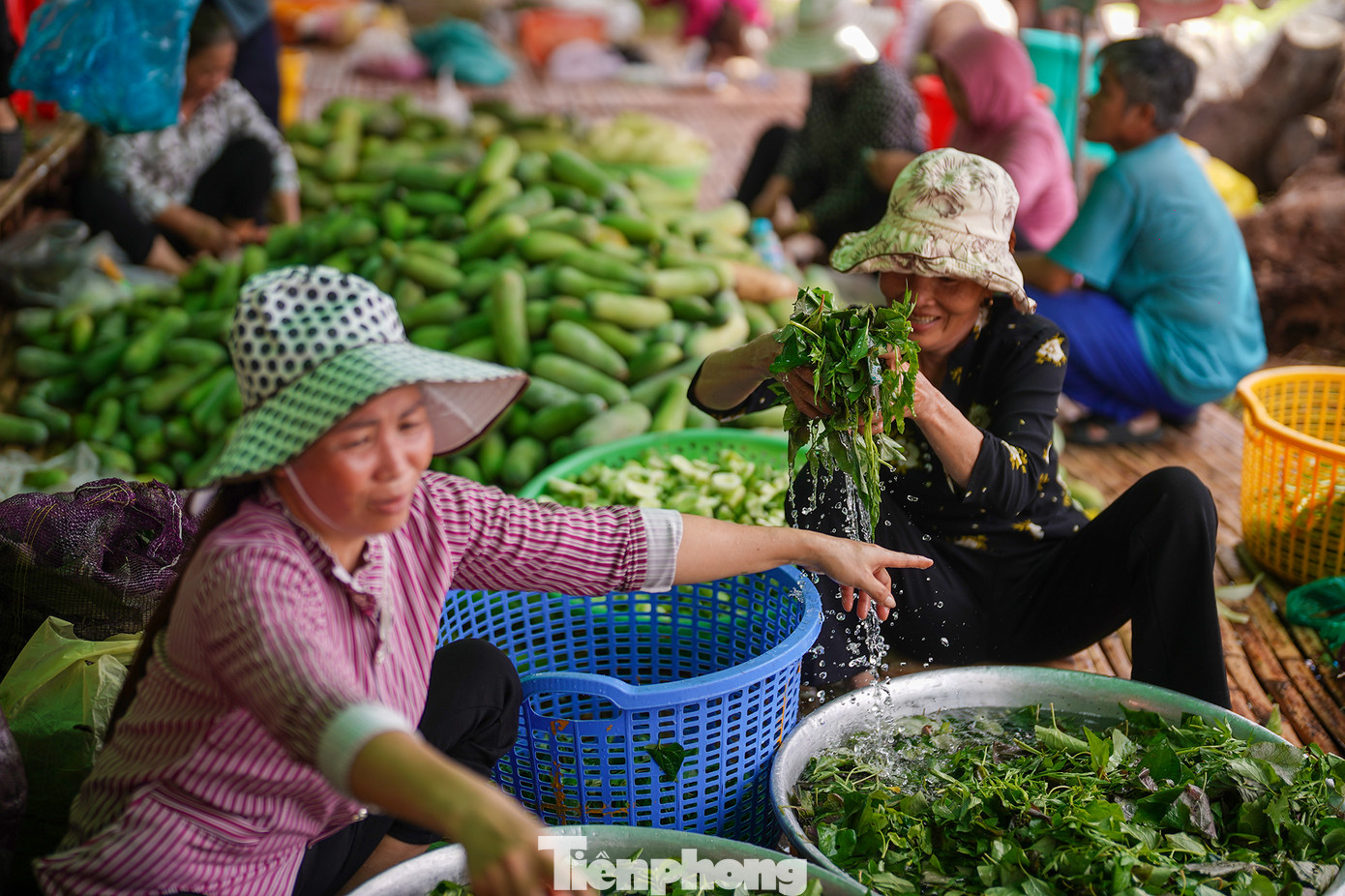 Đây là nhóm nấu ăn tại huyện Tân Trụ (Long An), đa phần các thành viên đều ở gần khu di tích đến góp công thiện nguyện nấu ăn cho lễ hội. Đây là nhóm nấu ăn tại huyện Tân Trụ (Long An), đa phần các thành viên đều ở gần khu di tích đến góp công thiện nguyện nấu ăn cho lễ hội.