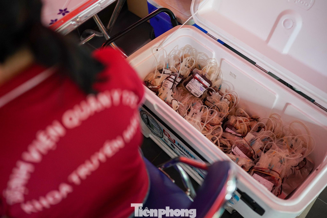 Sáng 5/6, có hơn 400 đơn vị máu được tổng hợp.