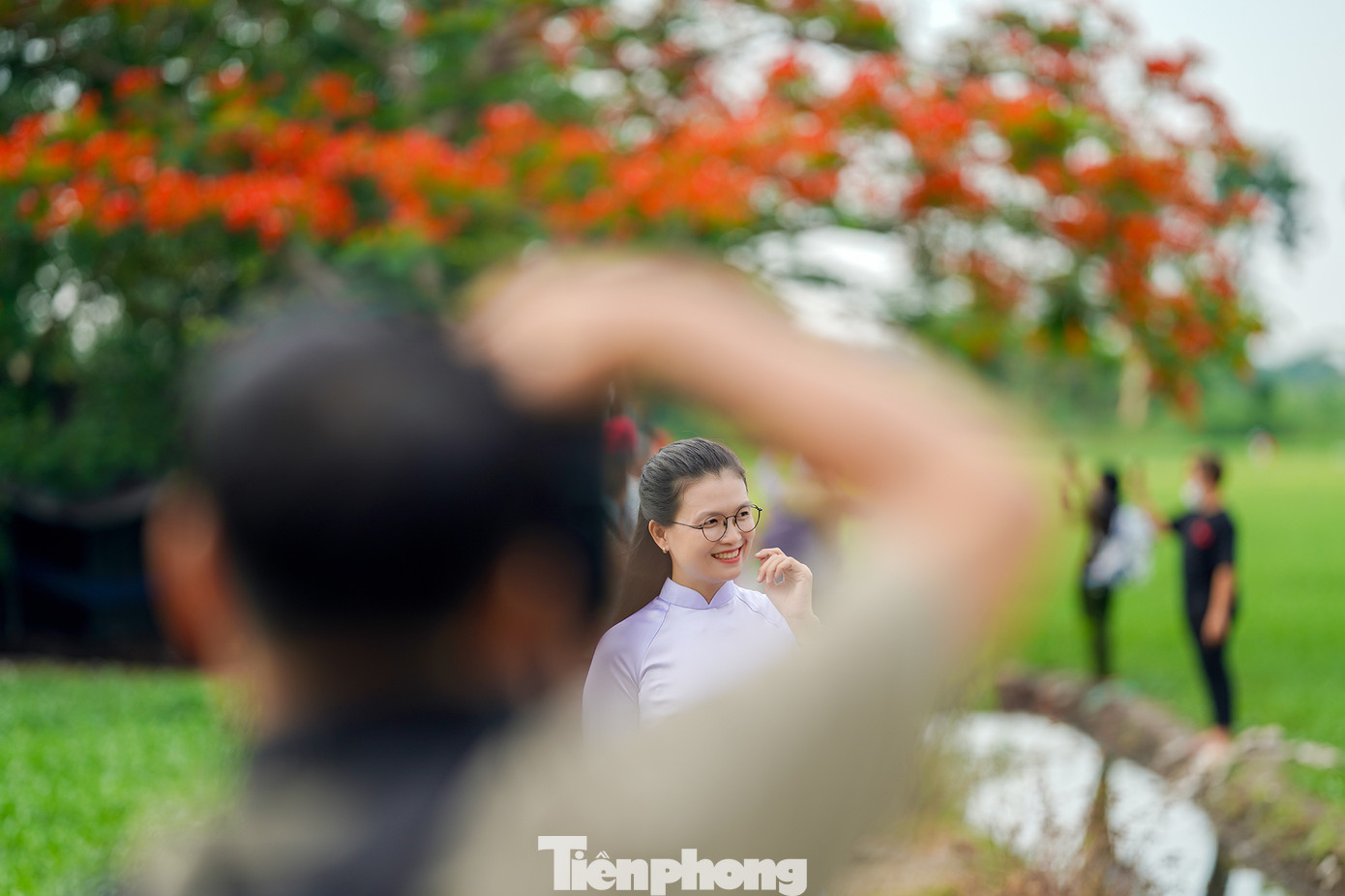 Ở TPHCM, giữa hàng triệu bóng cây, một cây phượng nở rộ, đơn lẻ, lại có khung cảnh hoang sơ, tĩnh lặng như thế này rất hiếm. Anh Nguyễn Vũ Khánh (nhiếp ảnh gia tự do) cho biết: “Tôi đã chụp nhiều nơi, nhưng không gian ở đây mang lại cảm giác hoài niệm đặc biệt. Ánh nắng chiều xuyên qua tán lá, màu hoa đỏ nổi bật giữa bầu trời xanh, tất cả tạo nên bức tranh mùa hè rất nên thơ”