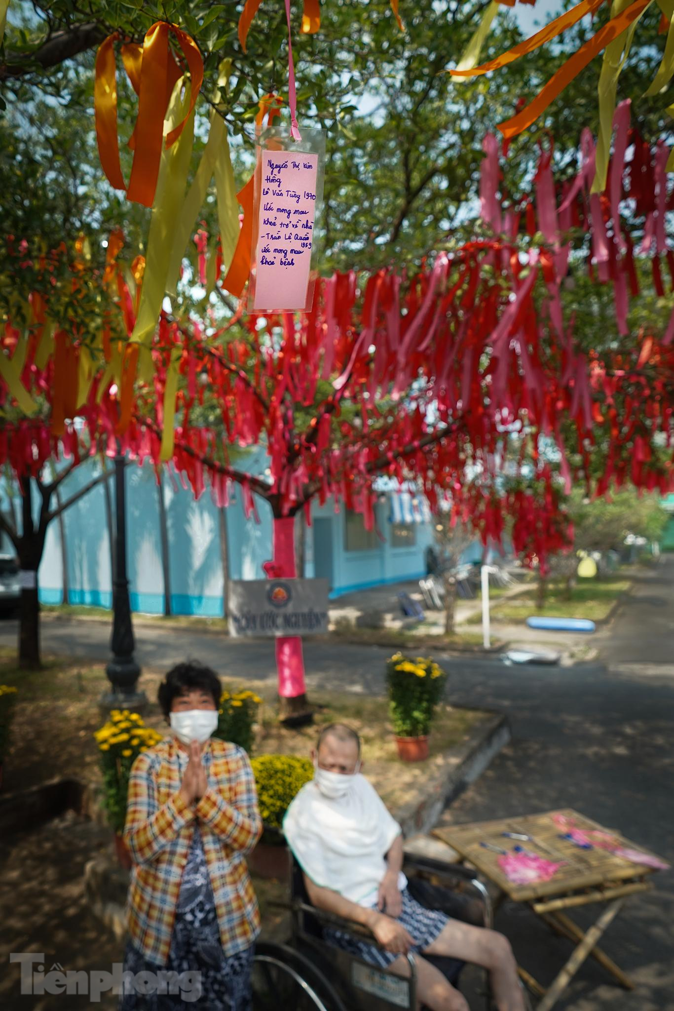 Dưới tán “cây ước nguyện”, bà Nguyễn Thị Kim Hồng (53 tuổi, ngụ tại Quận 4, TPHCM) đang chắp tay thành kính khẩn cầu cho sức khỏe của người em trai ngồi trên xe lăn. Bà cho biết, trong đợt bùng phát dịch vừa qua cả 4 người trong gia đình bà nhiễm bệnh, trong đó người mẹ và người chị đã vĩnh viễn ra đi.