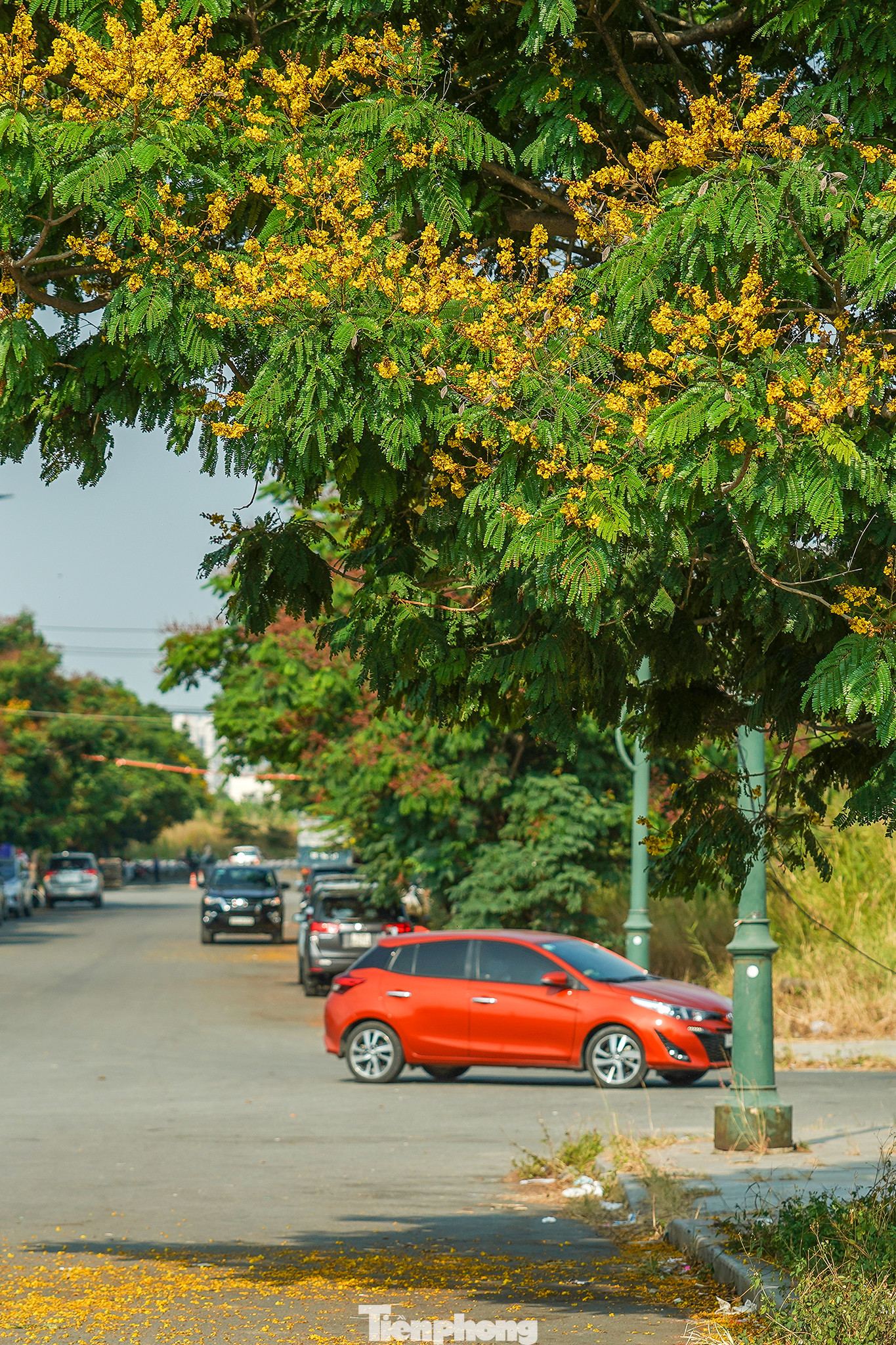 Khu đô thị mới Thủ Thiêm có tổng diện tích 657 ha được bao bọc bởi sông Sài Gòn và có vị trí đối diện quận 1, TPHCM. Thủ Thiêm được quy hoạch với các chức năng chính là trung tâm tài chính, thương mại, dịch vụ cao cấp của thành phố và sẽ là một trong những khu vực có hoạt động kinh tế, giải trí sôi động bậc nhất Đông Nam Á.