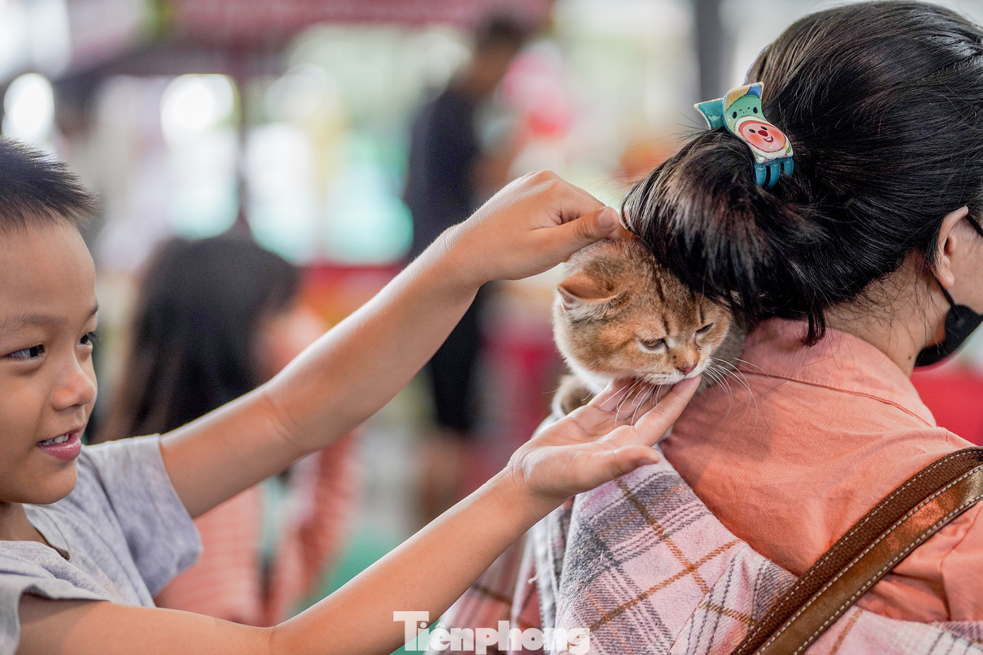 Thú cưng thu hút các em nhỏ.