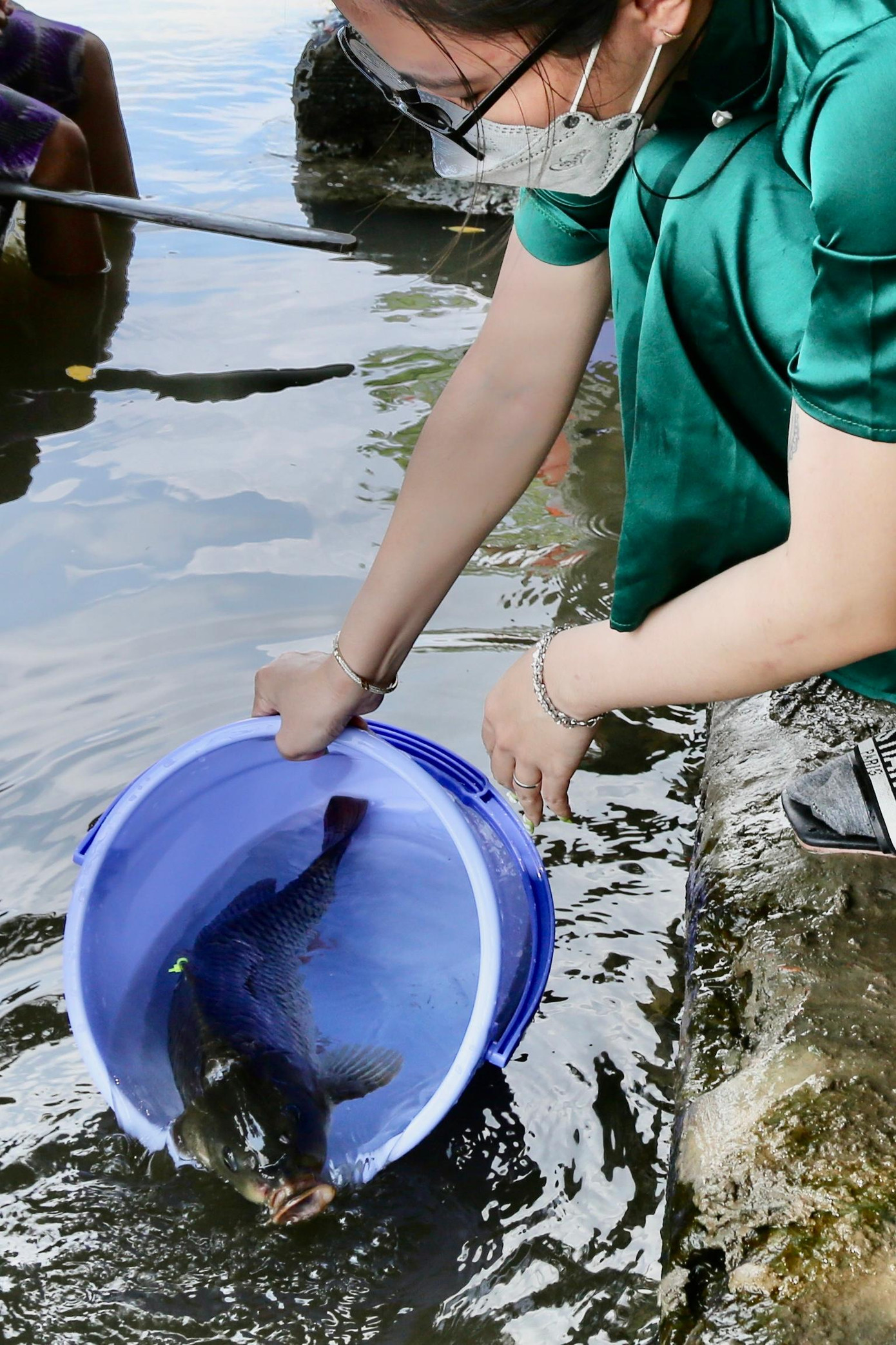 Một chú cá chép vùng vẫy hoà vào dòng nước. Một chú cá chép vùng vẫy hoà vào dòng nước.